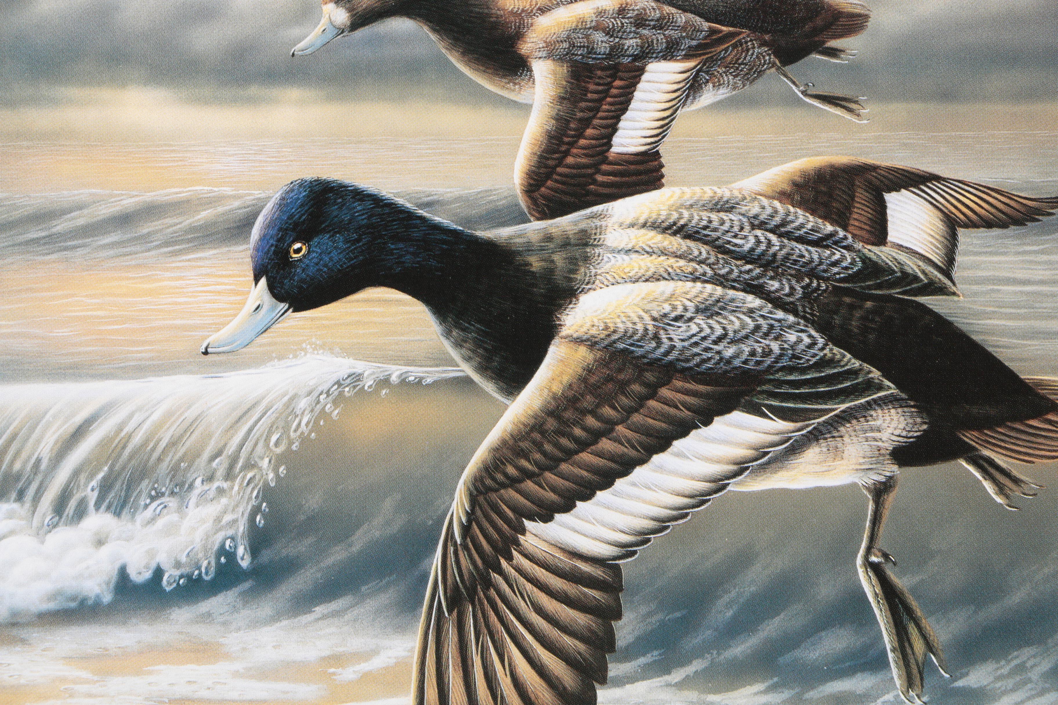 Limited Edition Offset Lithograph Prints of Federal Duck Stamp Prints