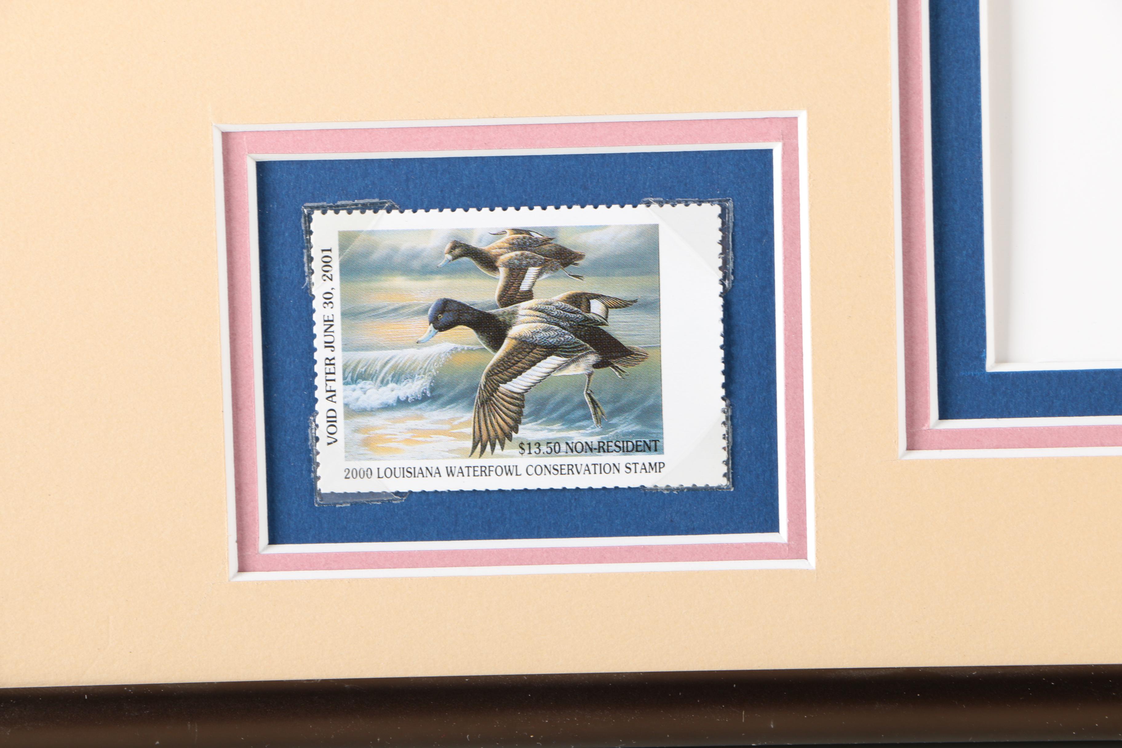 Limited Edition Offset Lithograph Prints of Federal Duck Stamp Prints