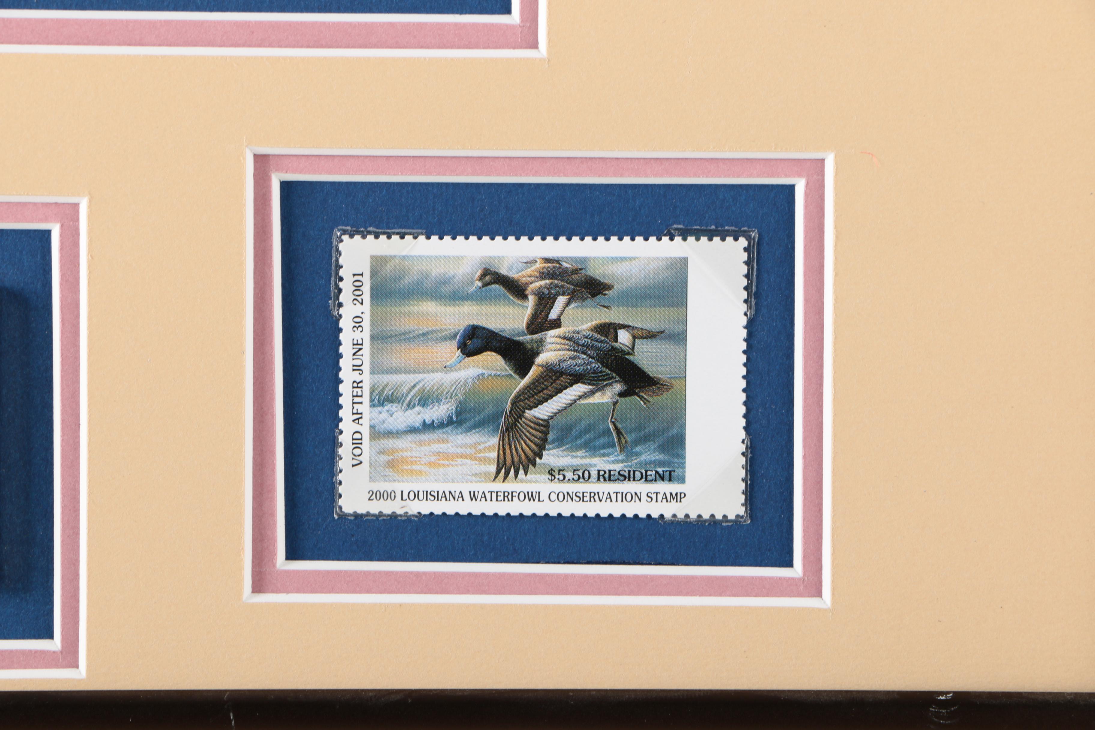Limited Edition Offset Lithograph Prints of Federal Duck Stamp Prints