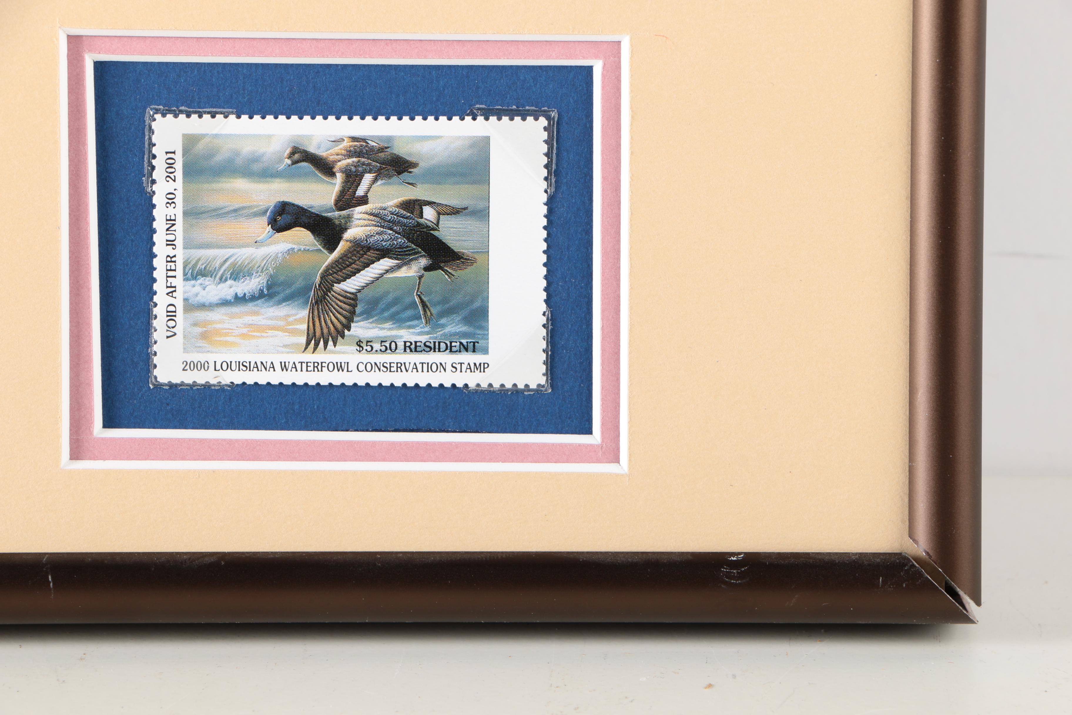 Limited Edition Offset Lithograph Prints of Federal Duck Stamp Prints