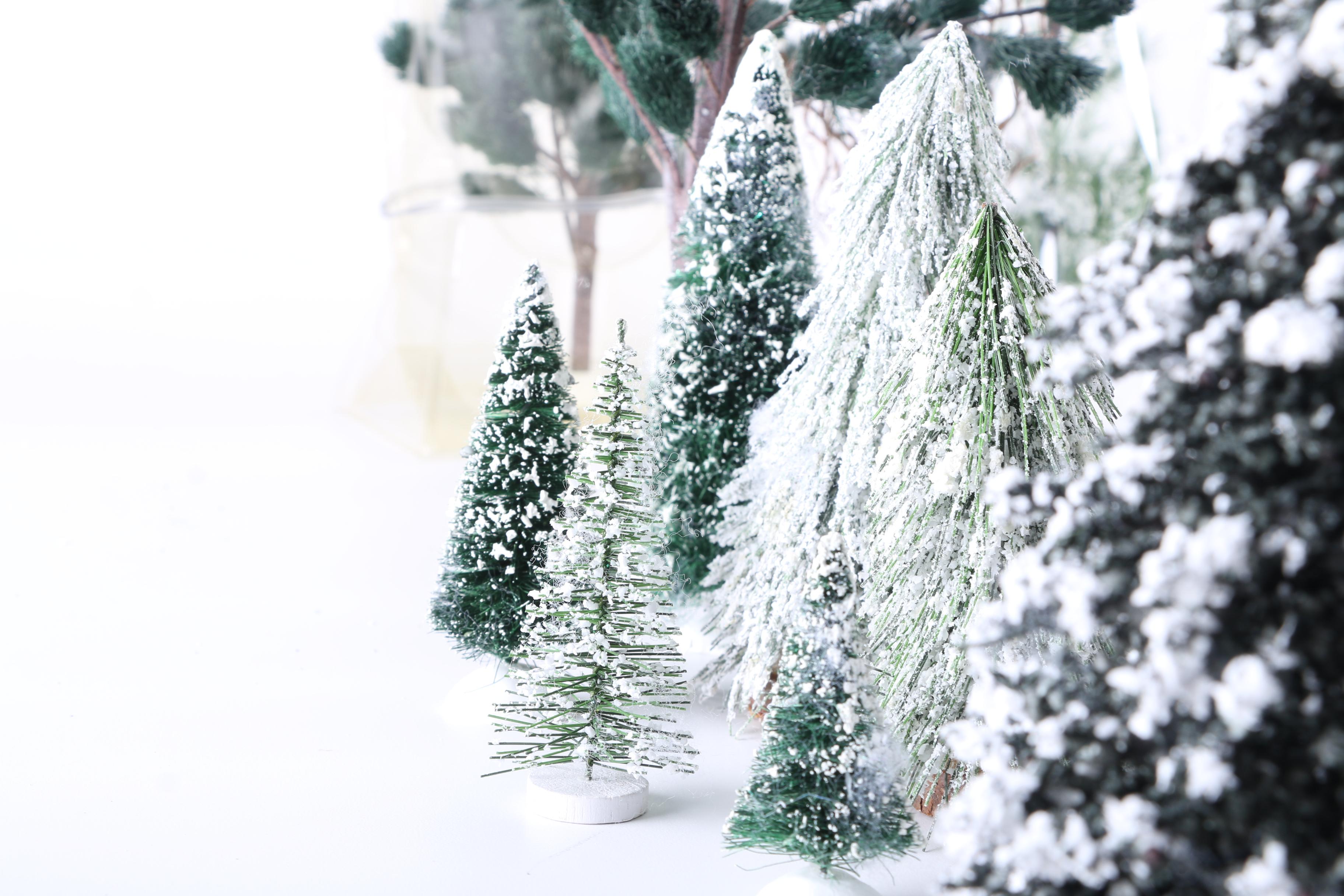 Christmas Village Accessories