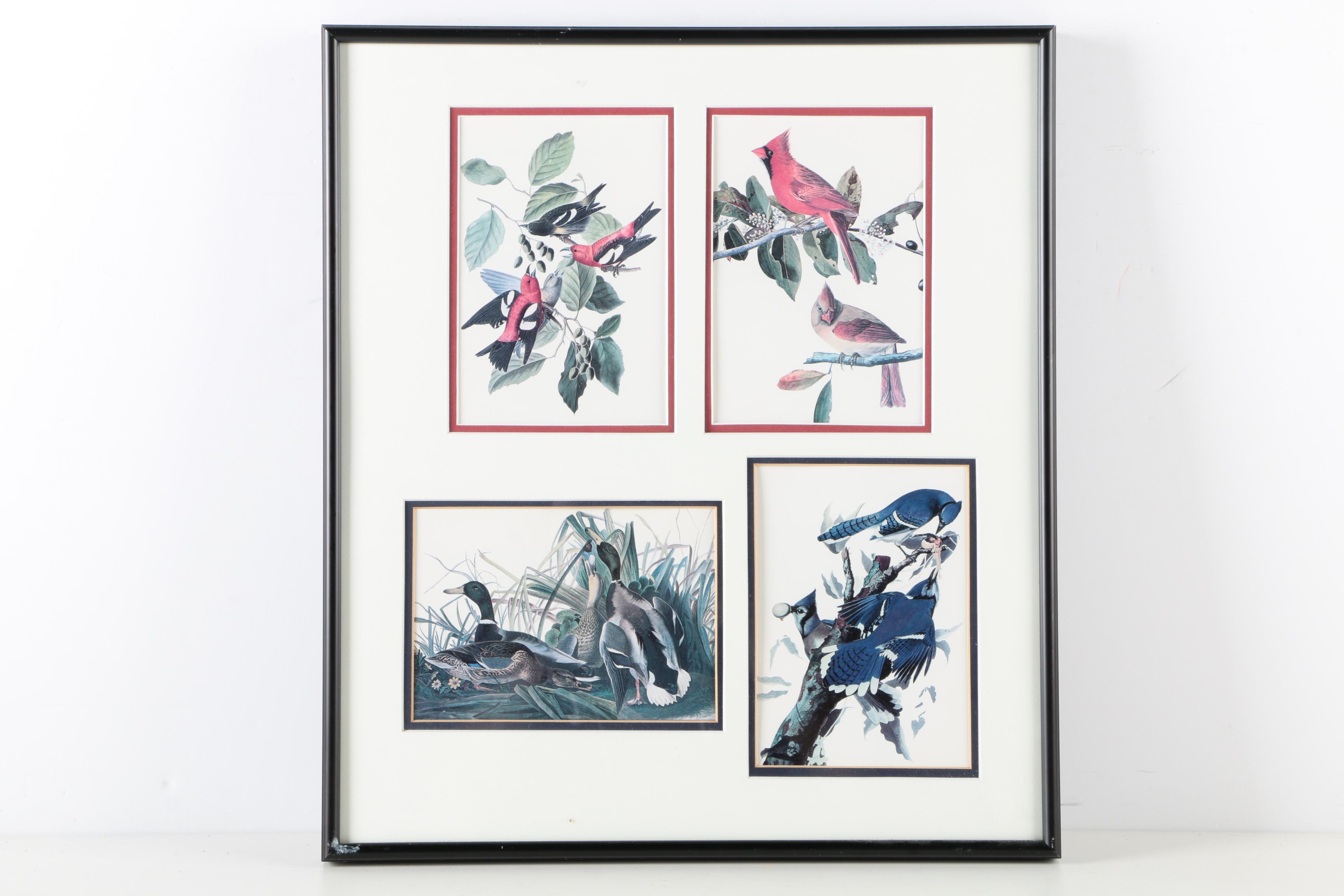 S.E. Kemp Oil Painting With a Pair of Offset Lithographs of Birds