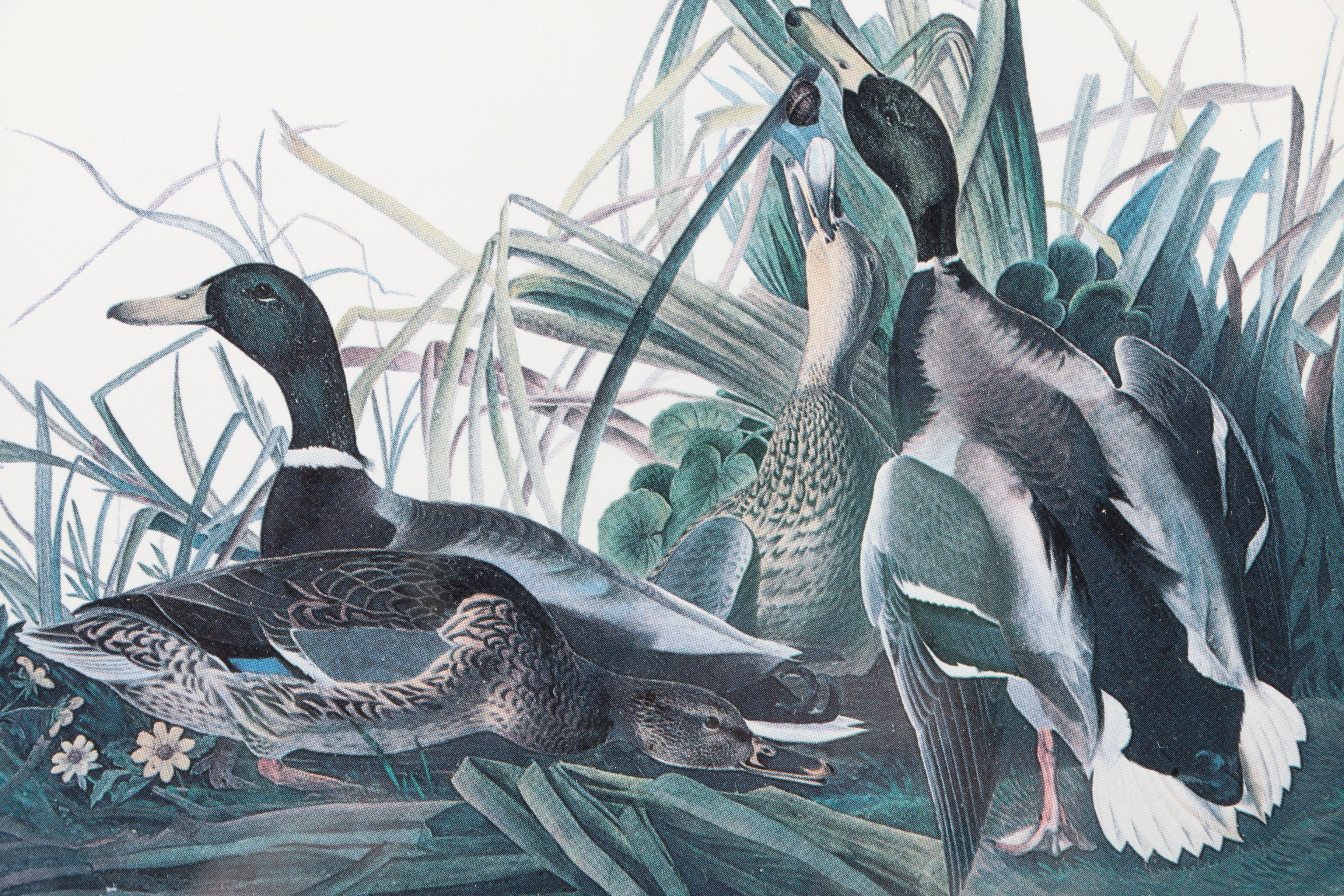 S.E. Kemp Oil Painting With a Pair of Offset Lithographs of Birds
