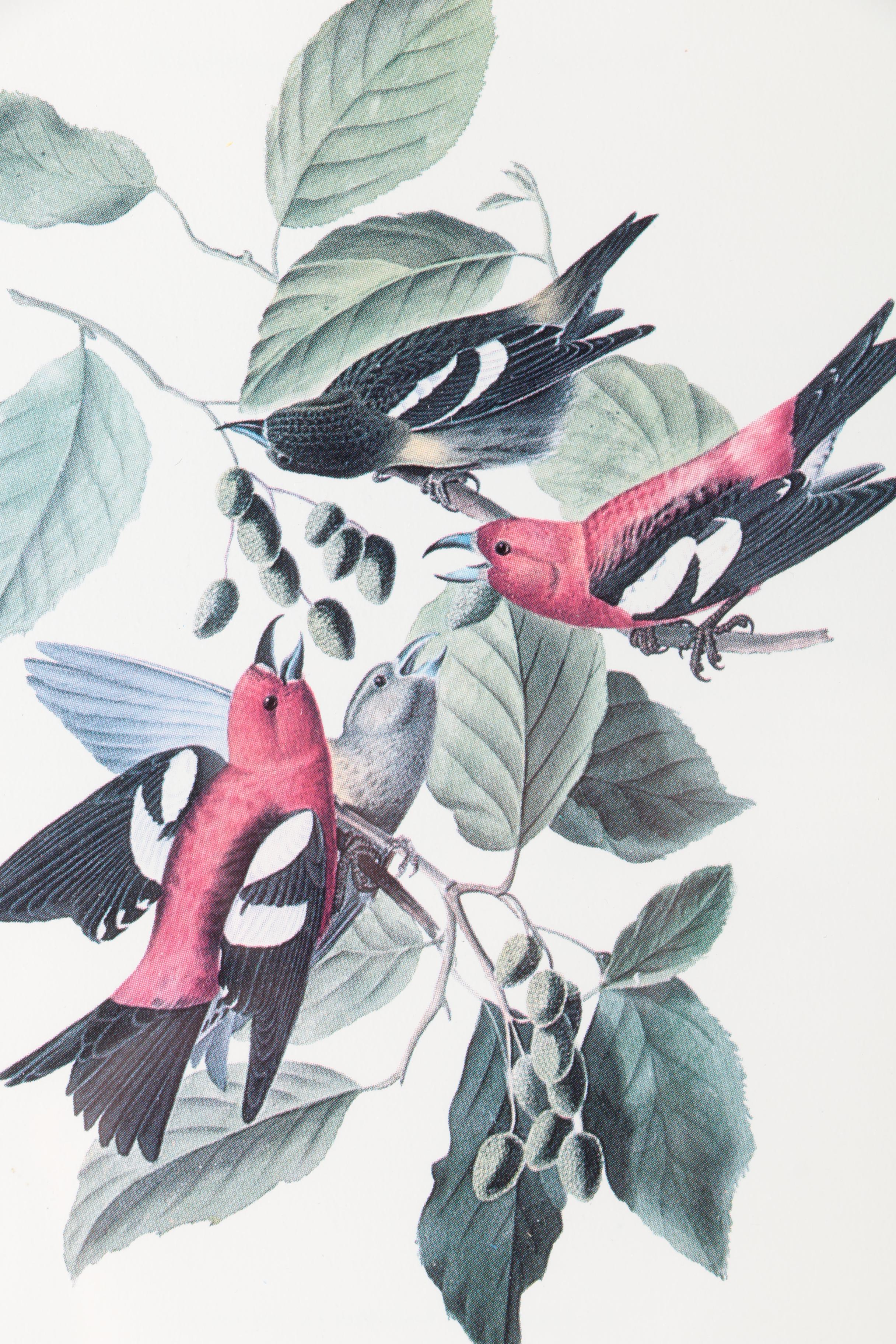 S.E. Kemp Oil Painting With a Pair of Offset Lithographs of Birds