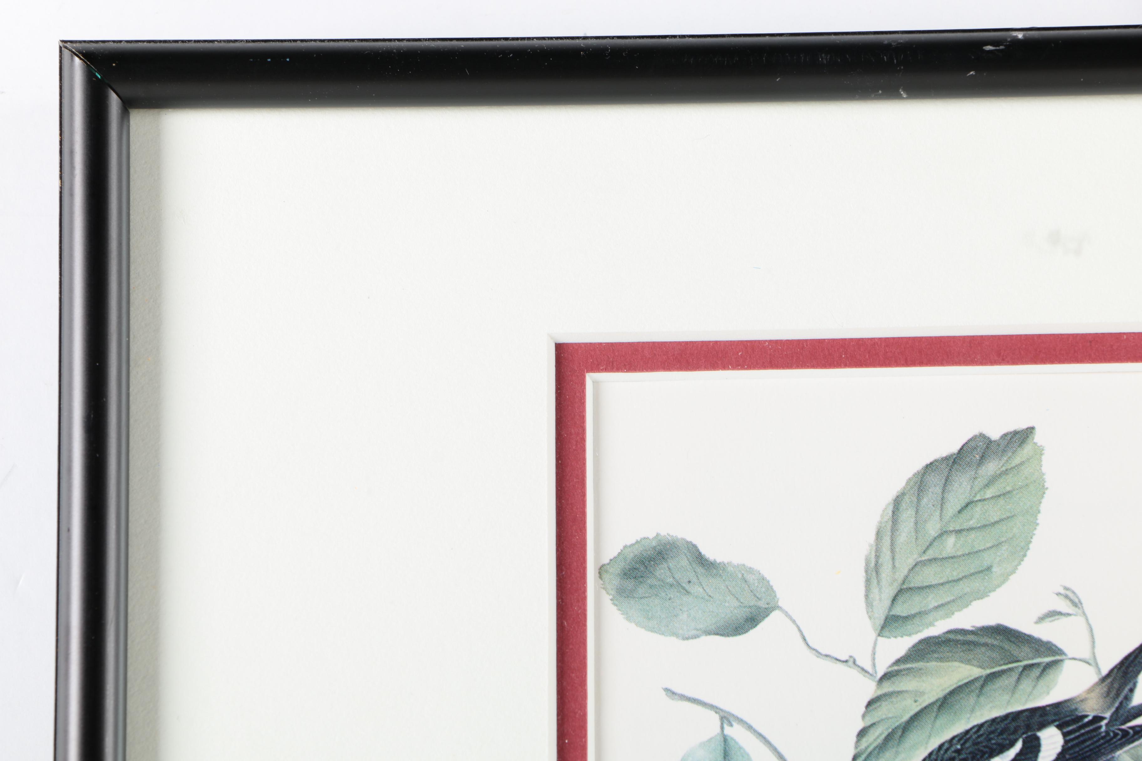 S.E. Kemp Oil Painting With a Pair of Offset Lithographs of Birds