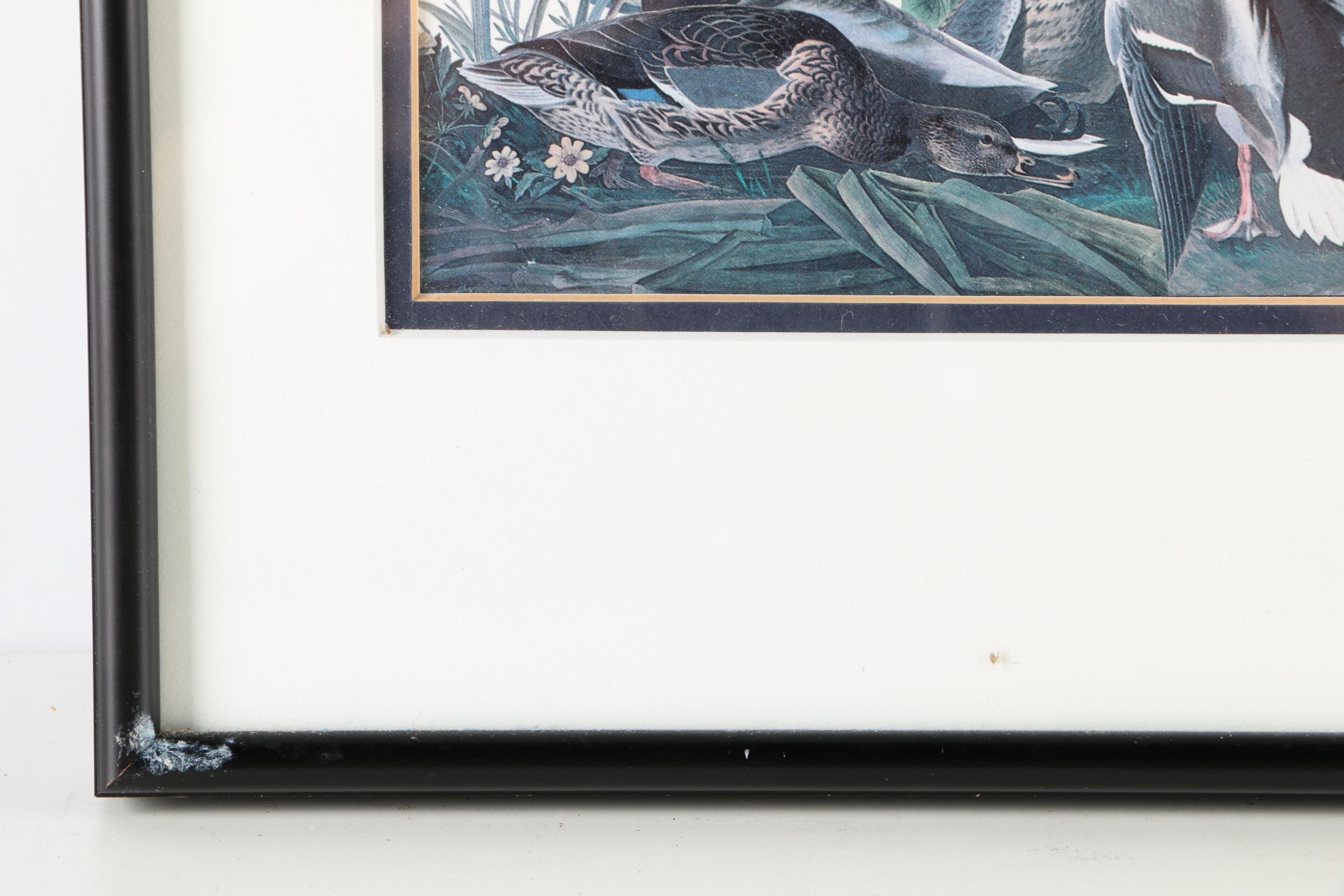 S.E. Kemp Oil Painting With a Pair of Offset Lithographs of Birds