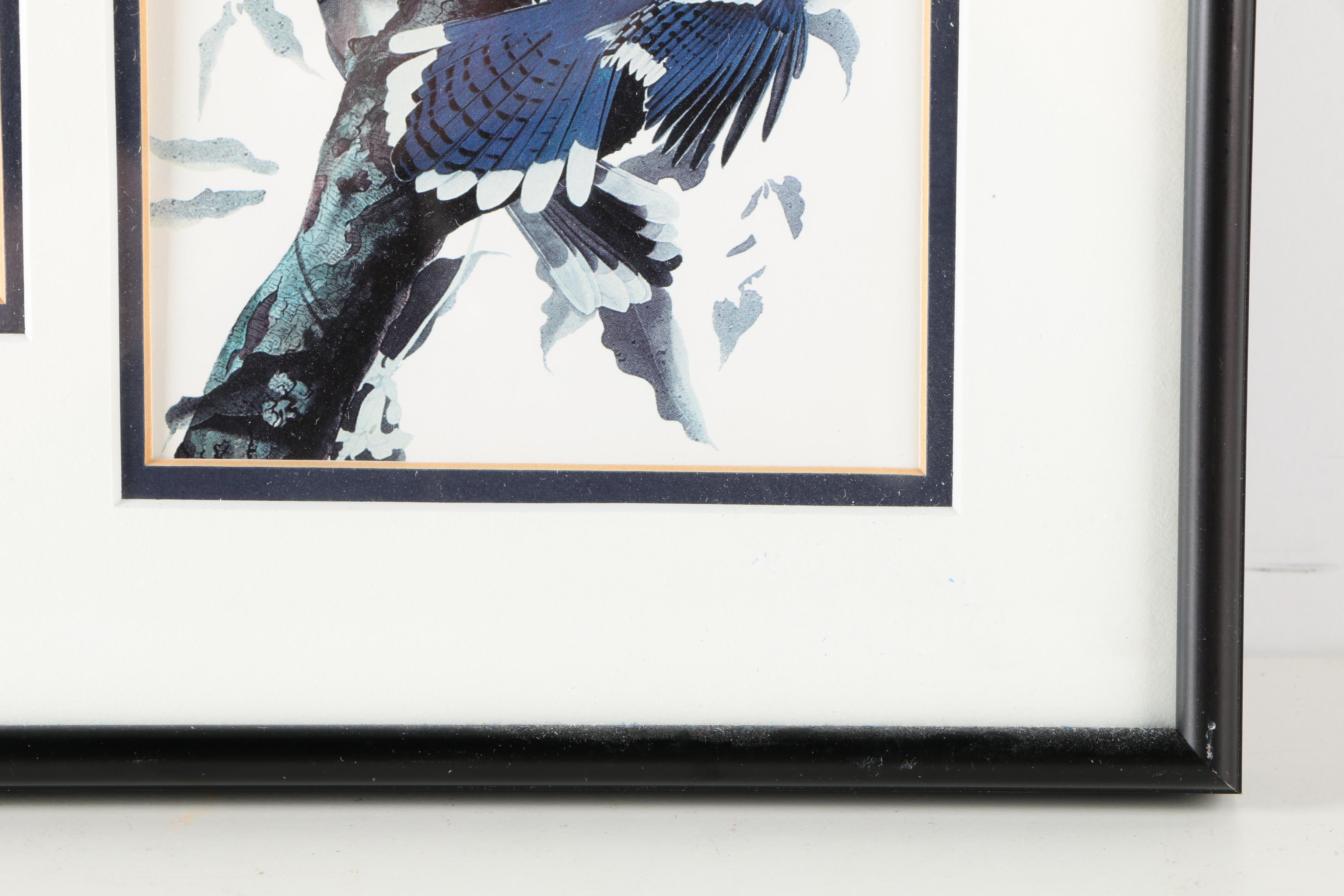 S.E. Kemp Oil Painting With a Pair of Offset Lithographs of Birds