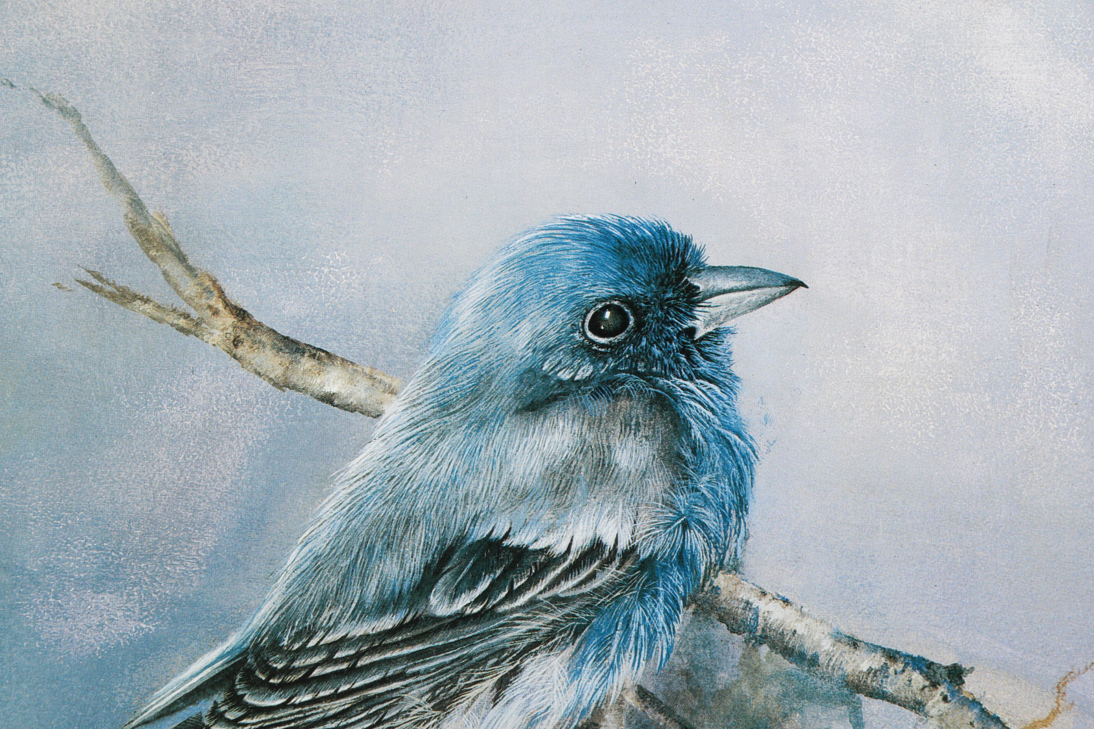 S.E. Kemp Oil Painting With a Pair of Offset Lithographs of Birds