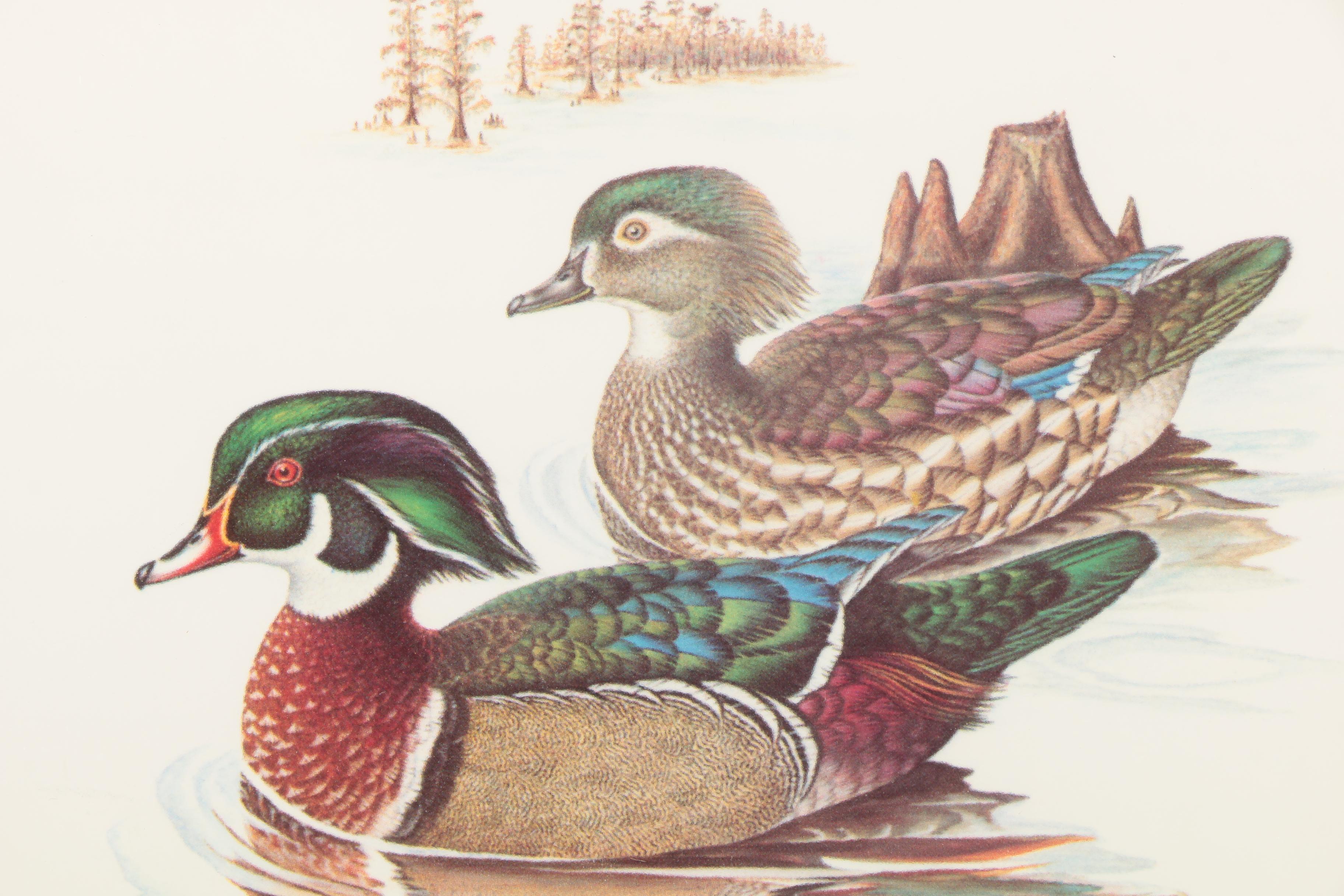 Reproduction Prints After Tan Brunet's Illustrations of Waterfowl