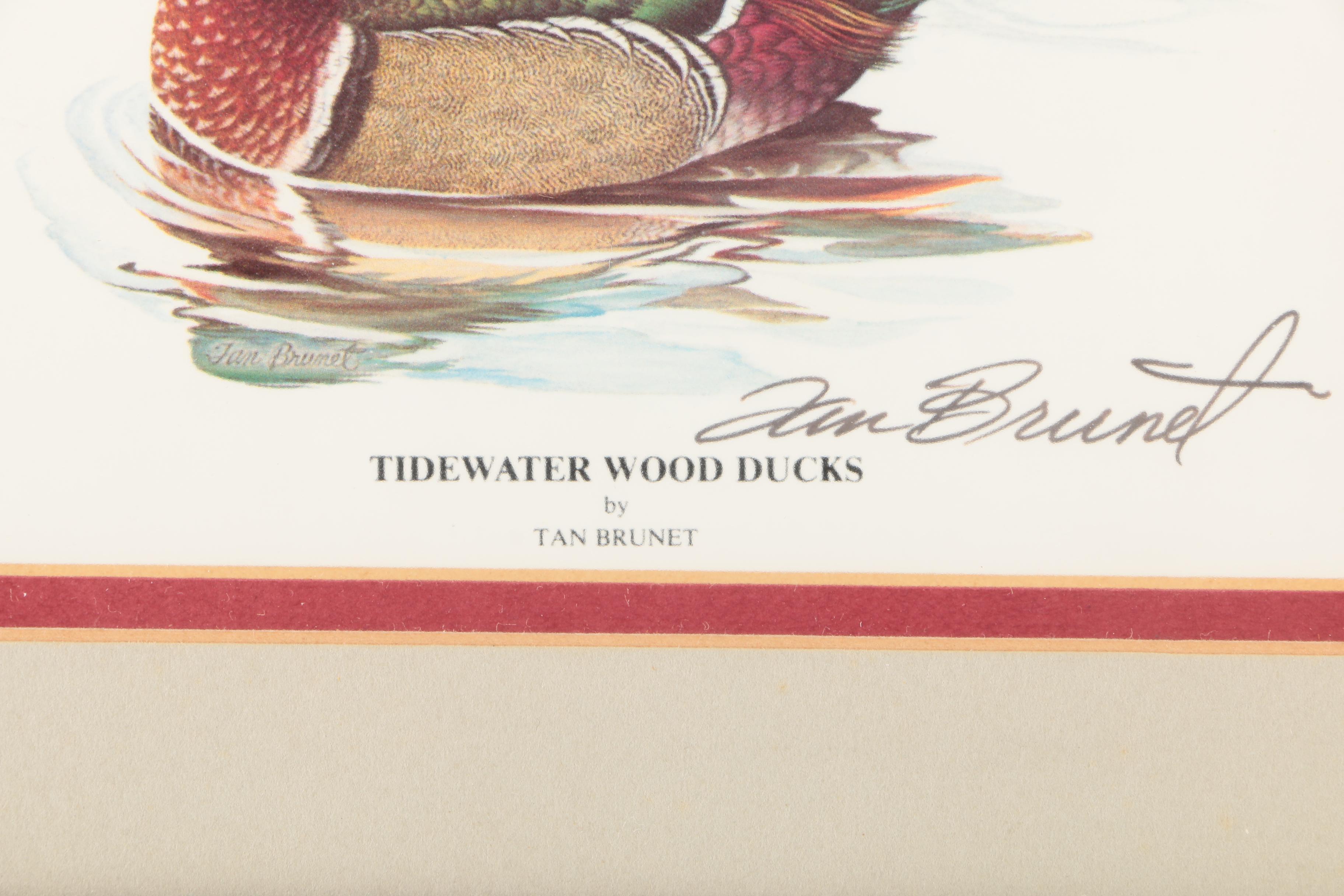 Reproduction Prints After Tan Brunet's Illustrations of Waterfowl