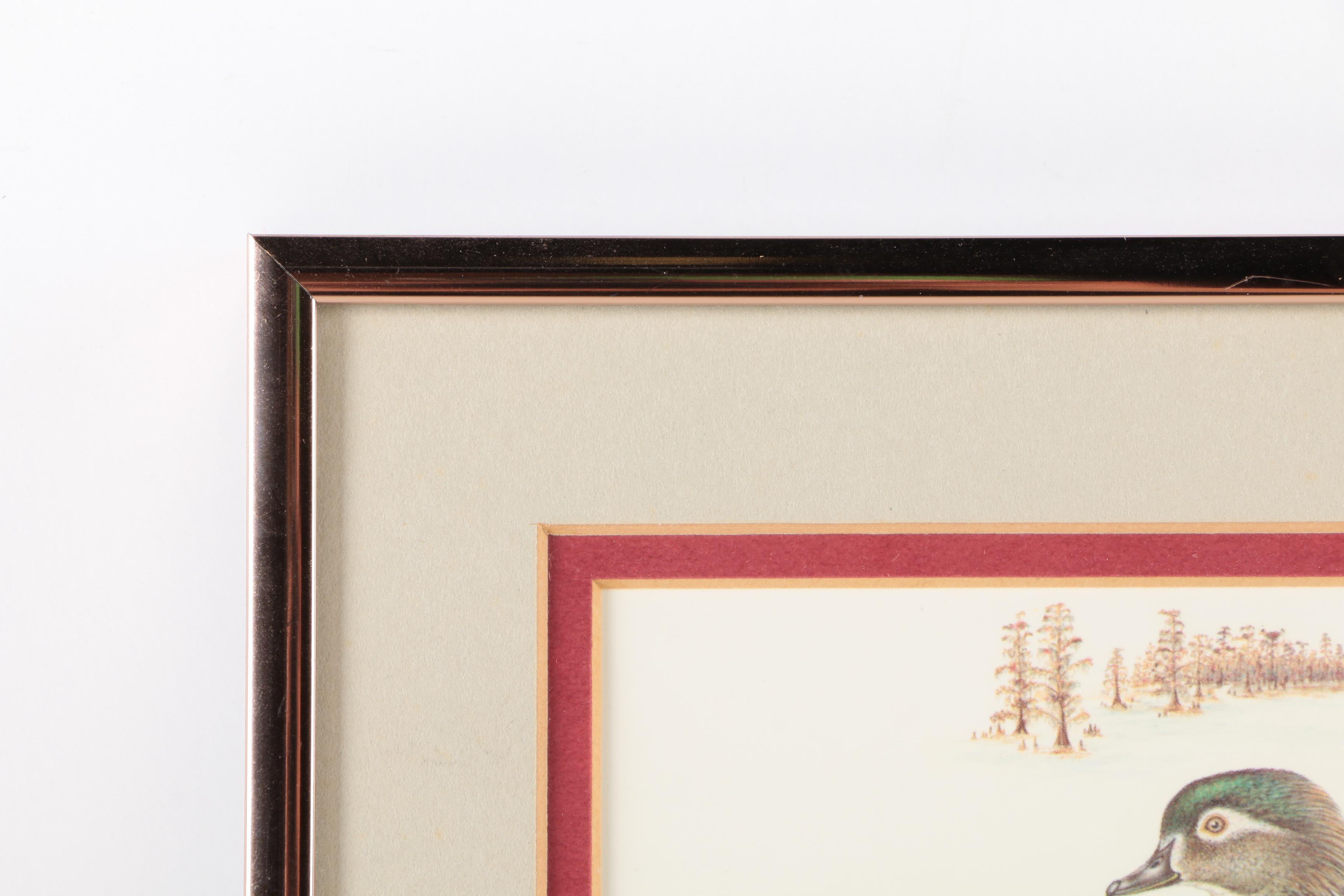 Reproduction Prints After Tan Brunet's Illustrations of Waterfowl