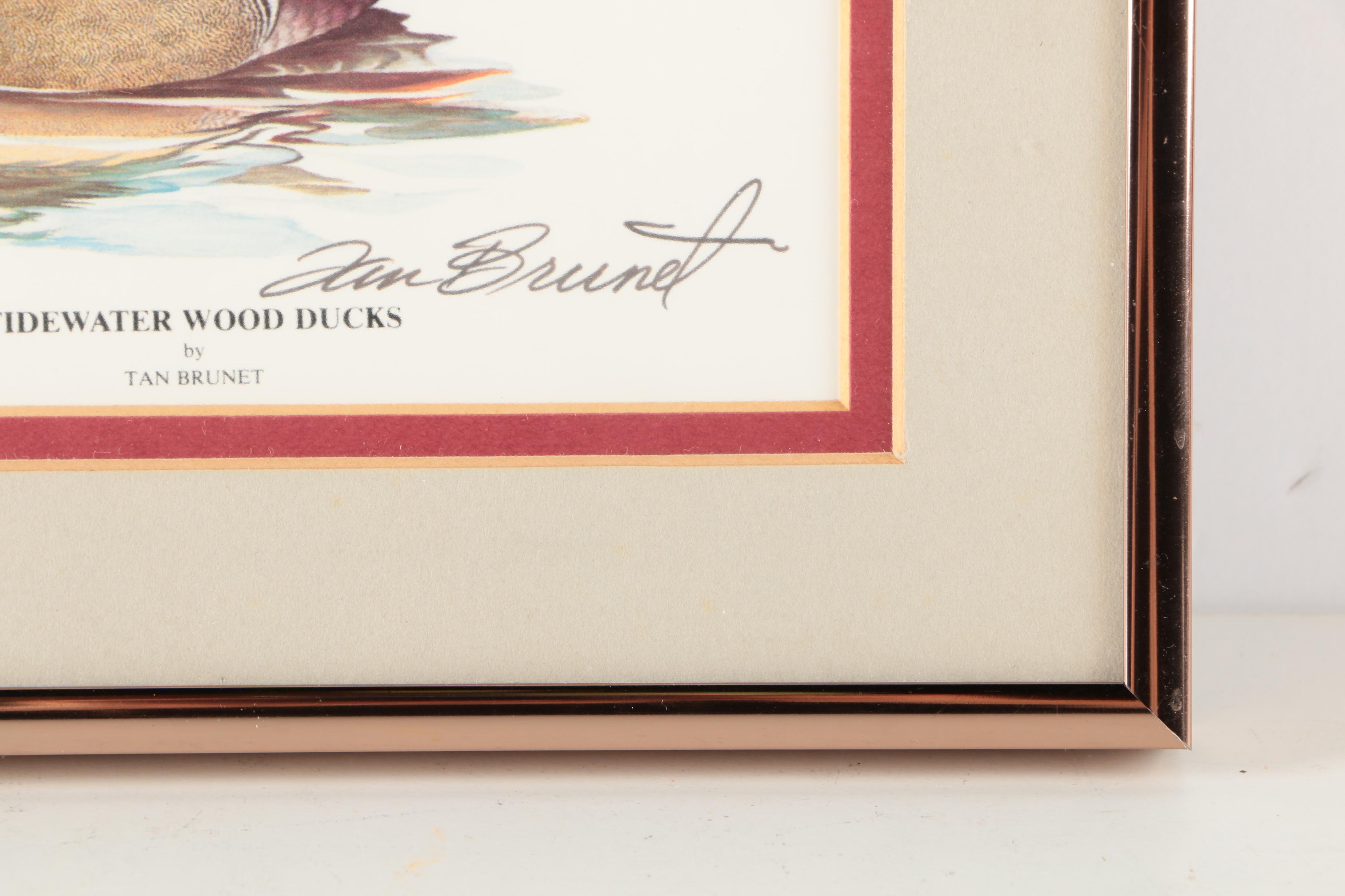 Reproduction Prints After Tan Brunet's Illustrations of Waterfowl