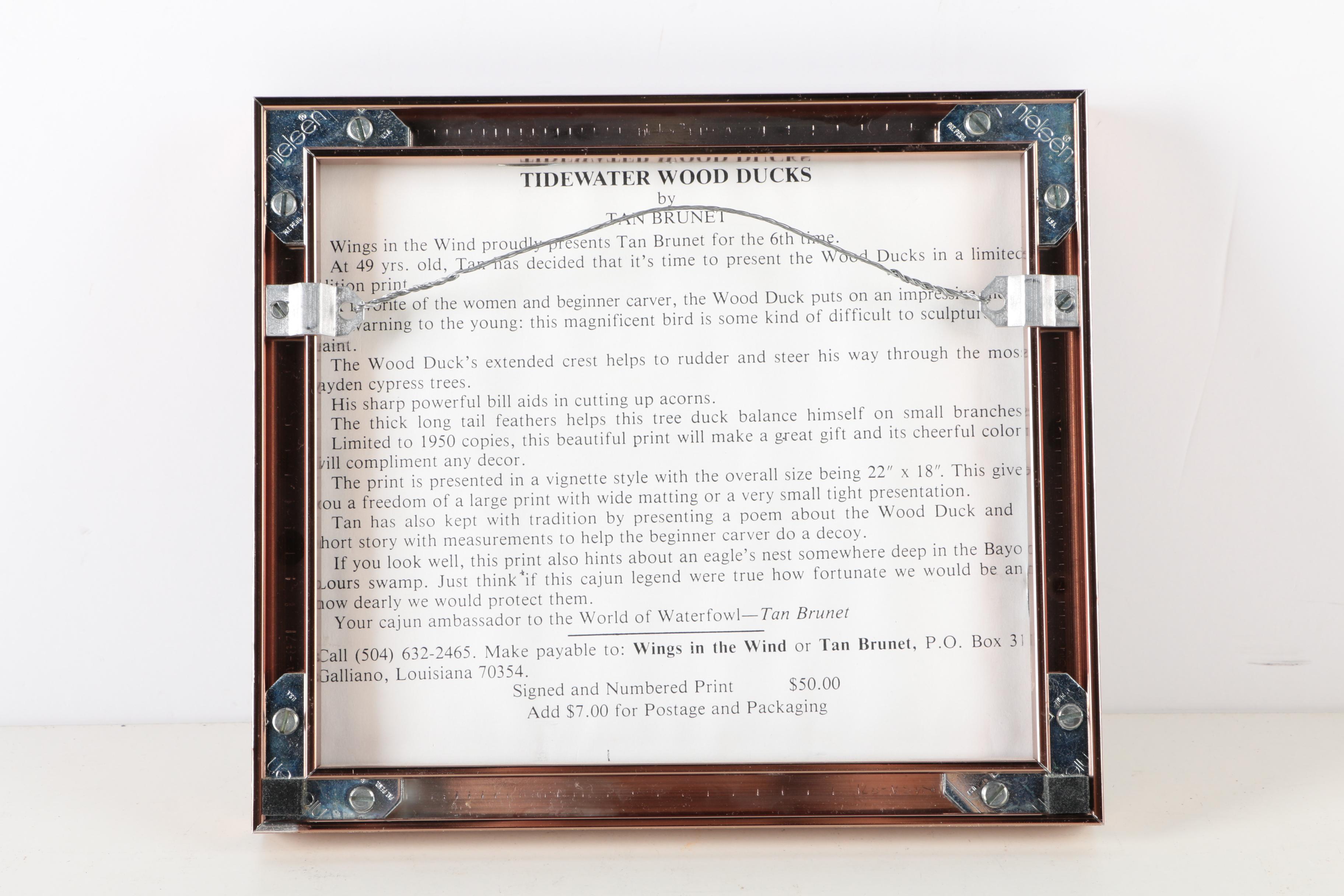 Reproduction Prints After Tan Brunet's Illustrations of Waterfowl