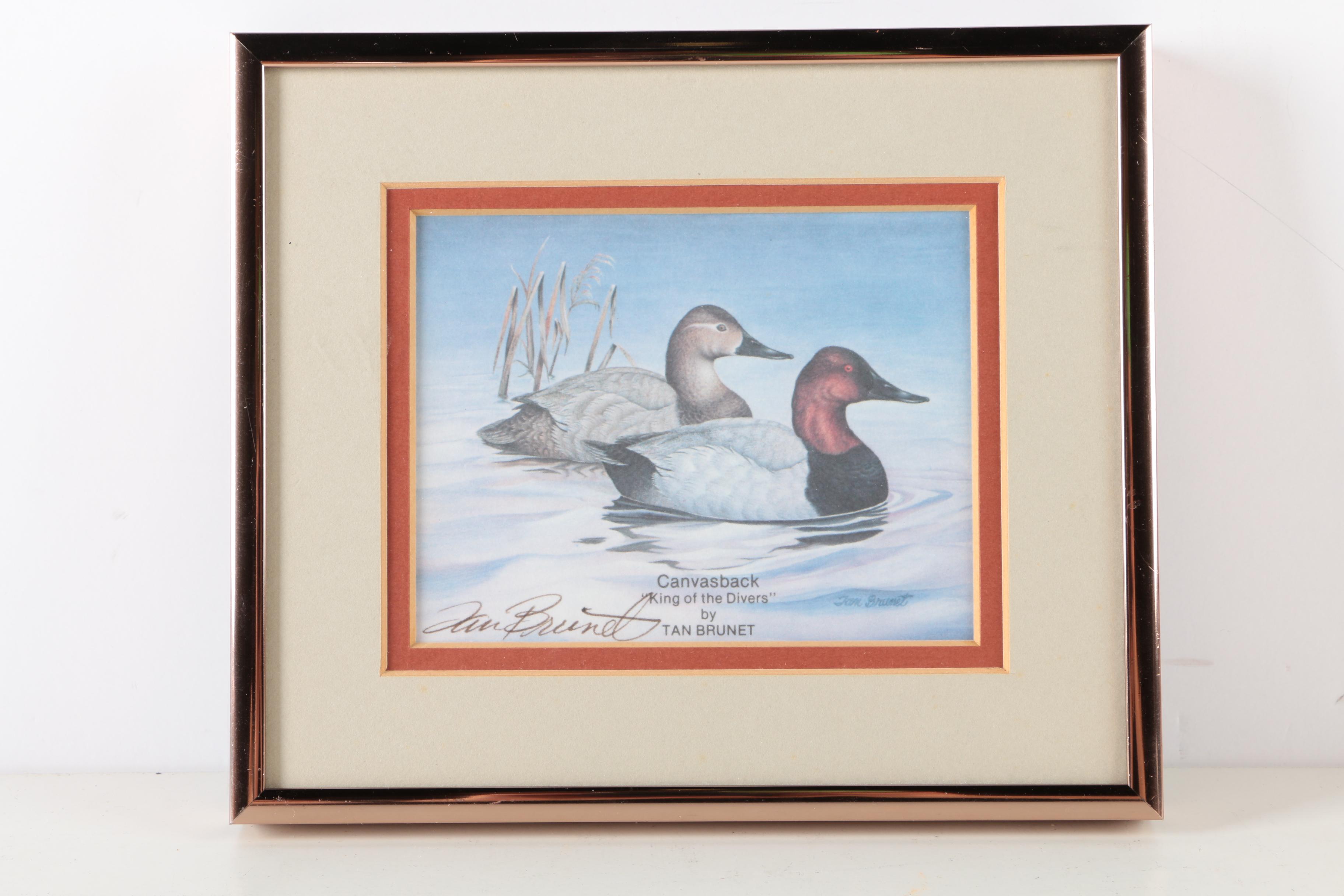Reproduction Prints After Tan Brunet's Illustrations of Waterfowl