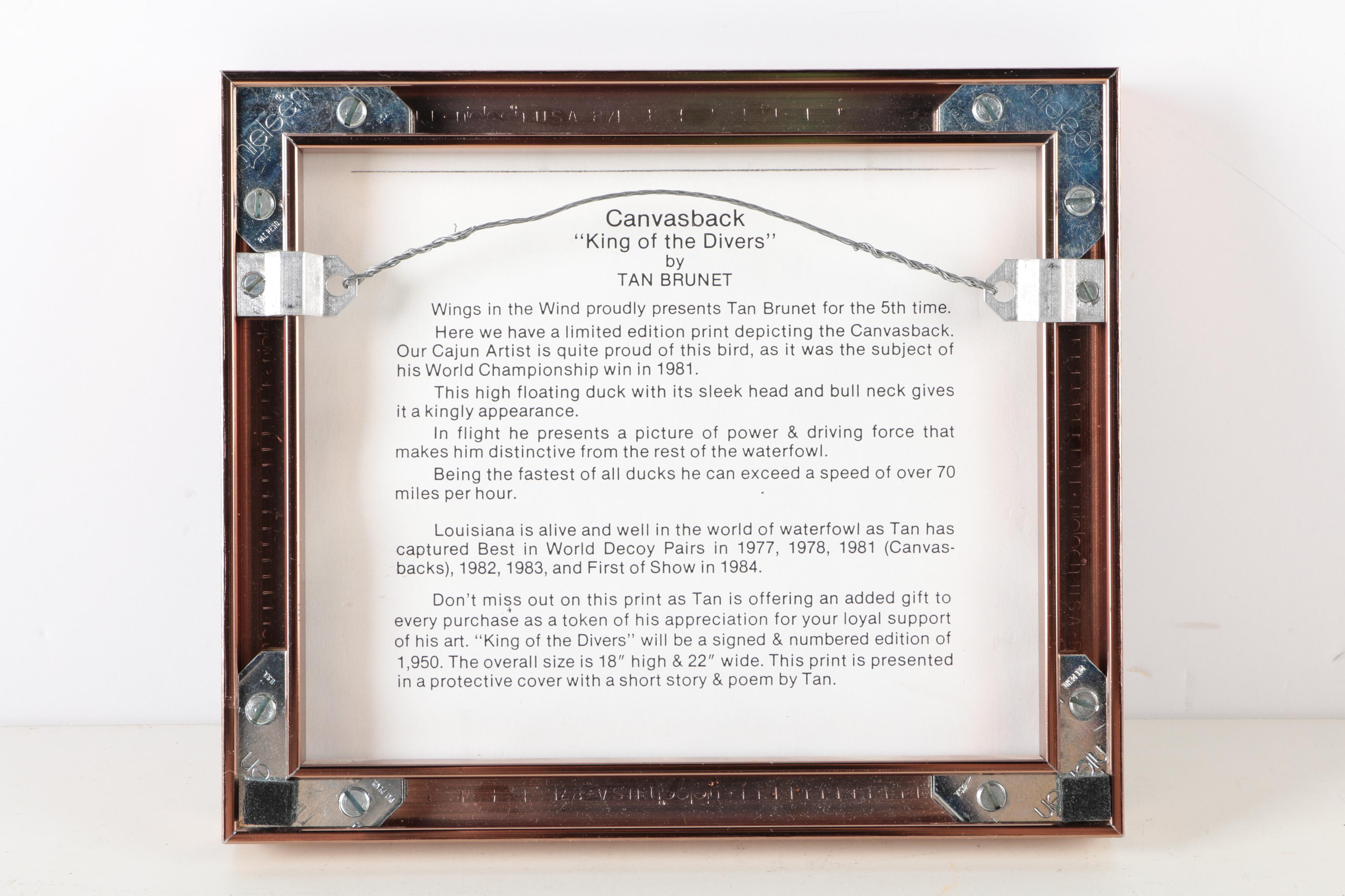 Reproduction Prints After Tan Brunet's Illustrations of Waterfowl