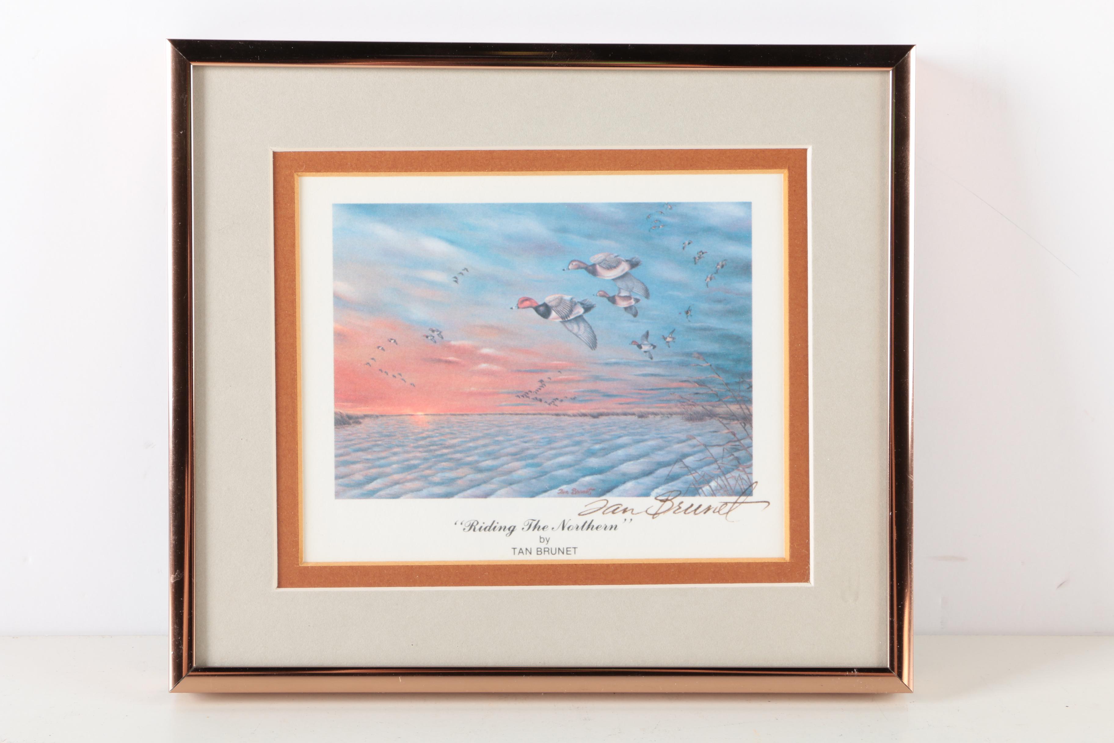 Reproduction Prints After Tan Brunet's Illustrations of Waterfowl