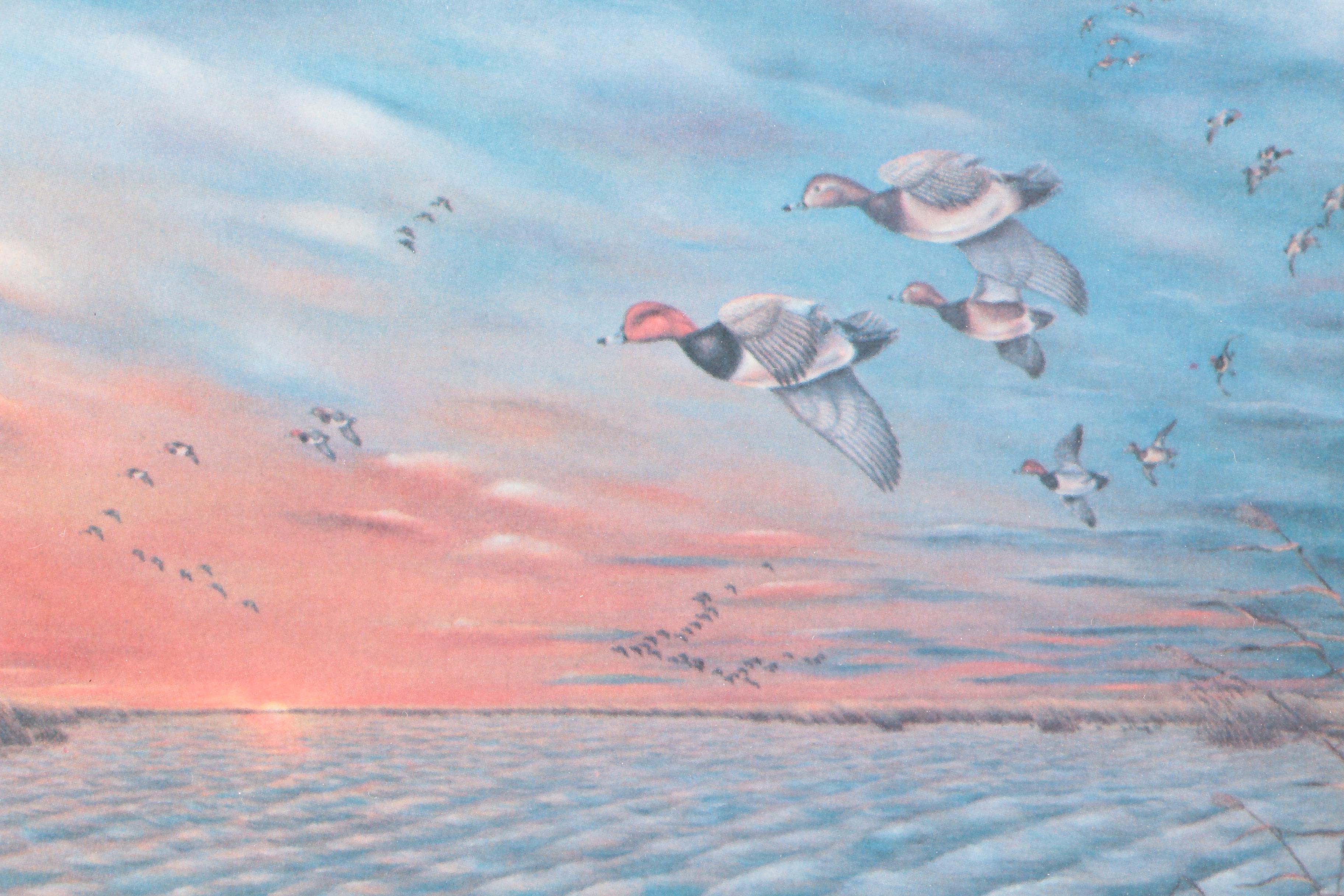 Reproduction Prints After Tan Brunet's Illustrations of Waterfowl