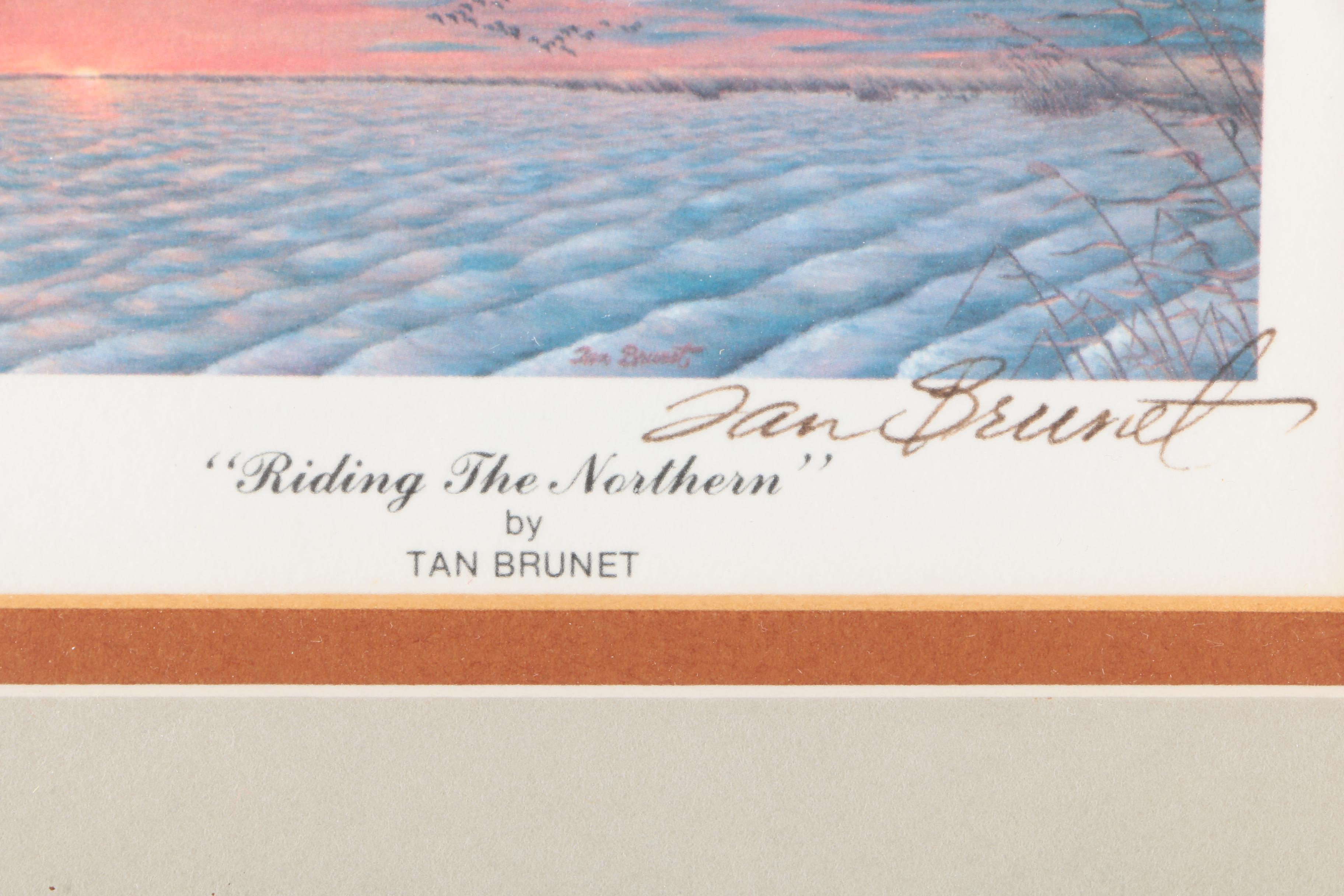 Reproduction Prints After Tan Brunet's Illustrations of Waterfowl