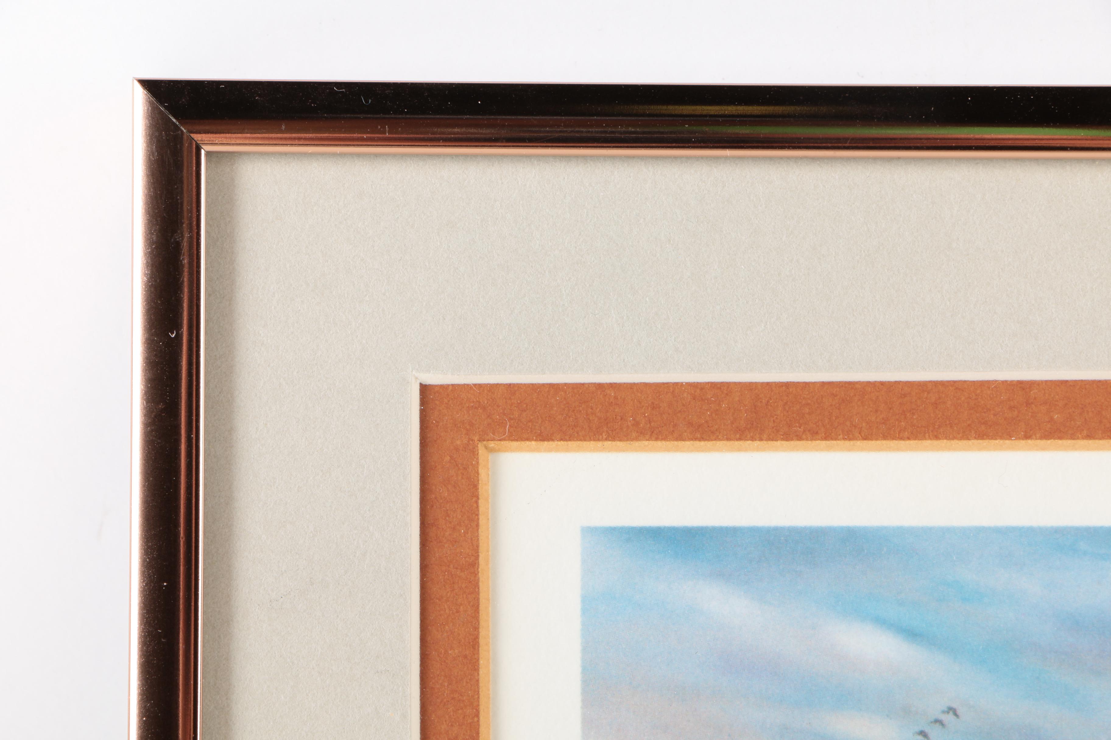 Reproduction Prints After Tan Brunet's Illustrations of Waterfowl