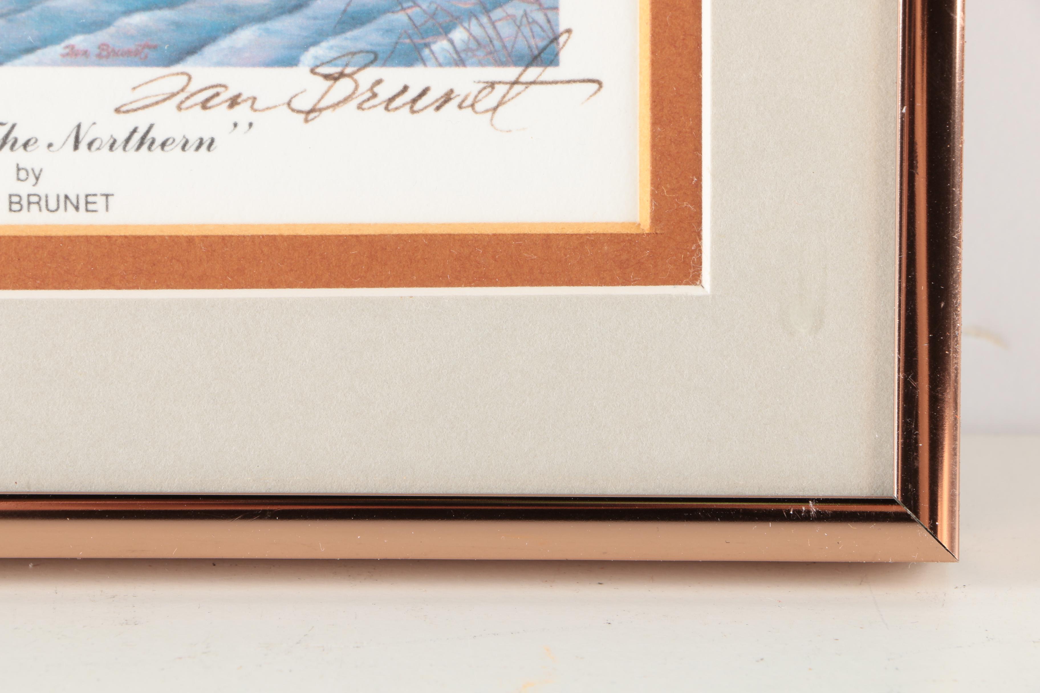 Reproduction Prints After Tan Brunet's Illustrations of Waterfowl