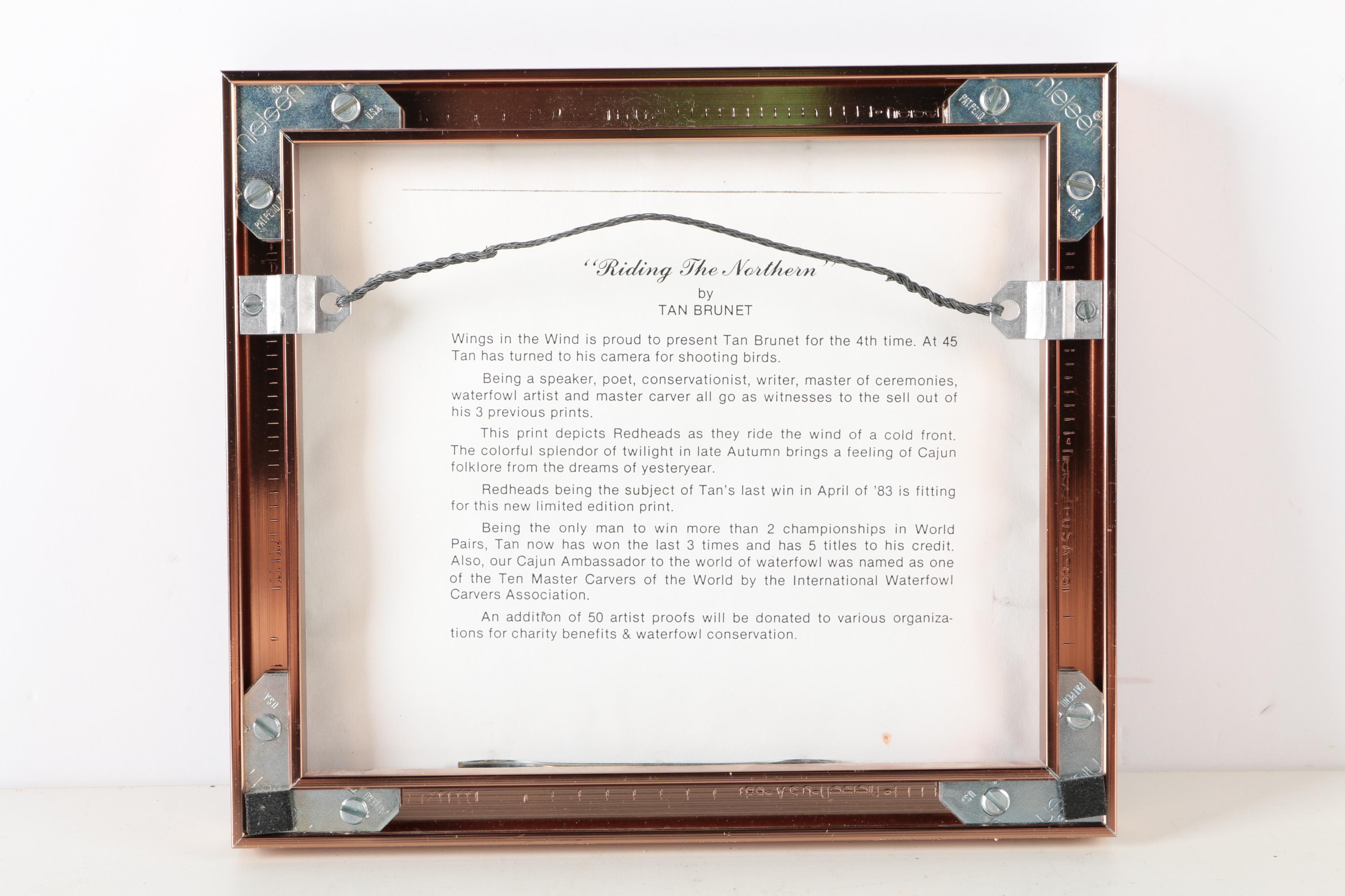 Reproduction Prints After Tan Brunet's Illustrations of Waterfowl