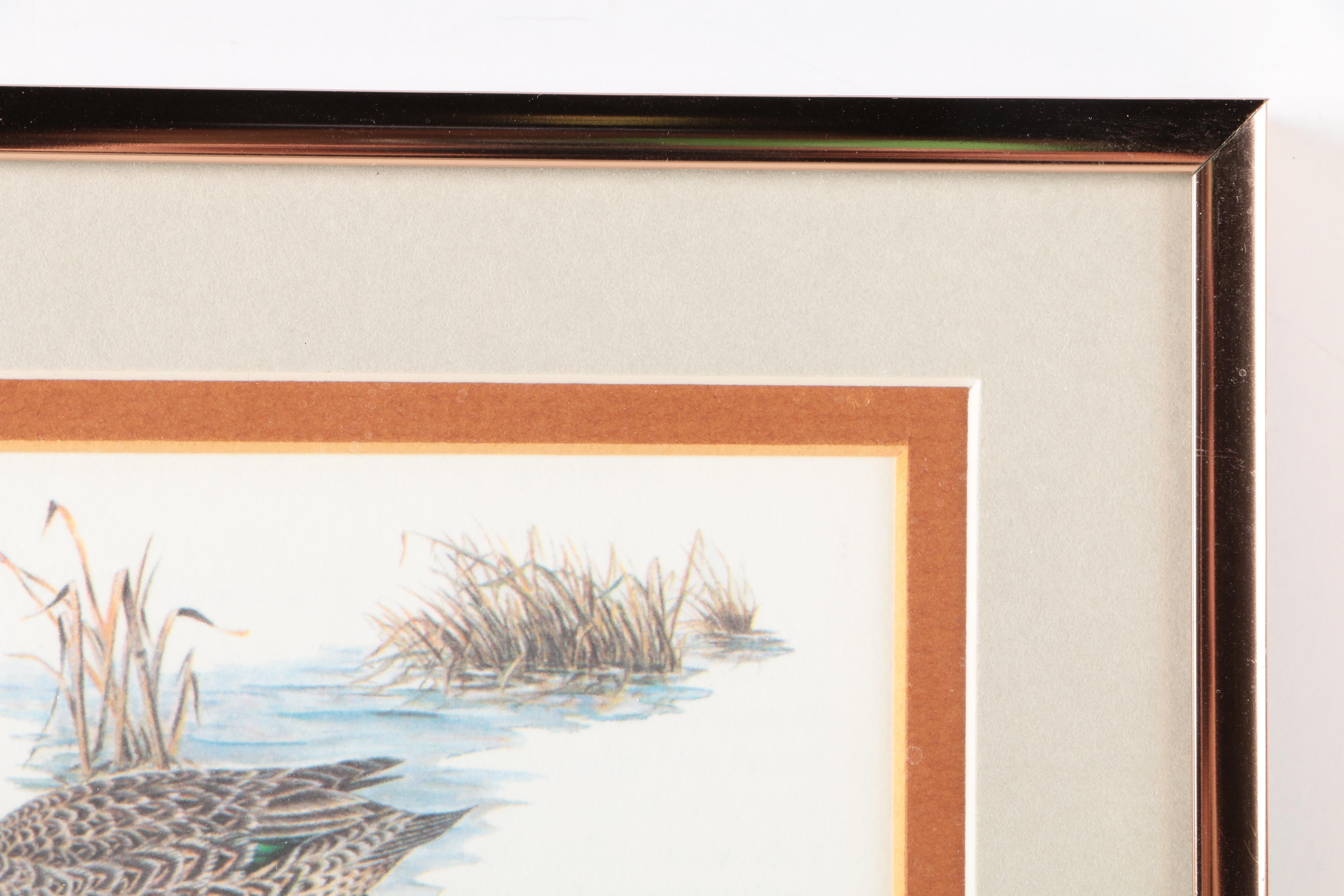 Reproduction Prints After Tan Brunet's Illustrations of Waterfowl