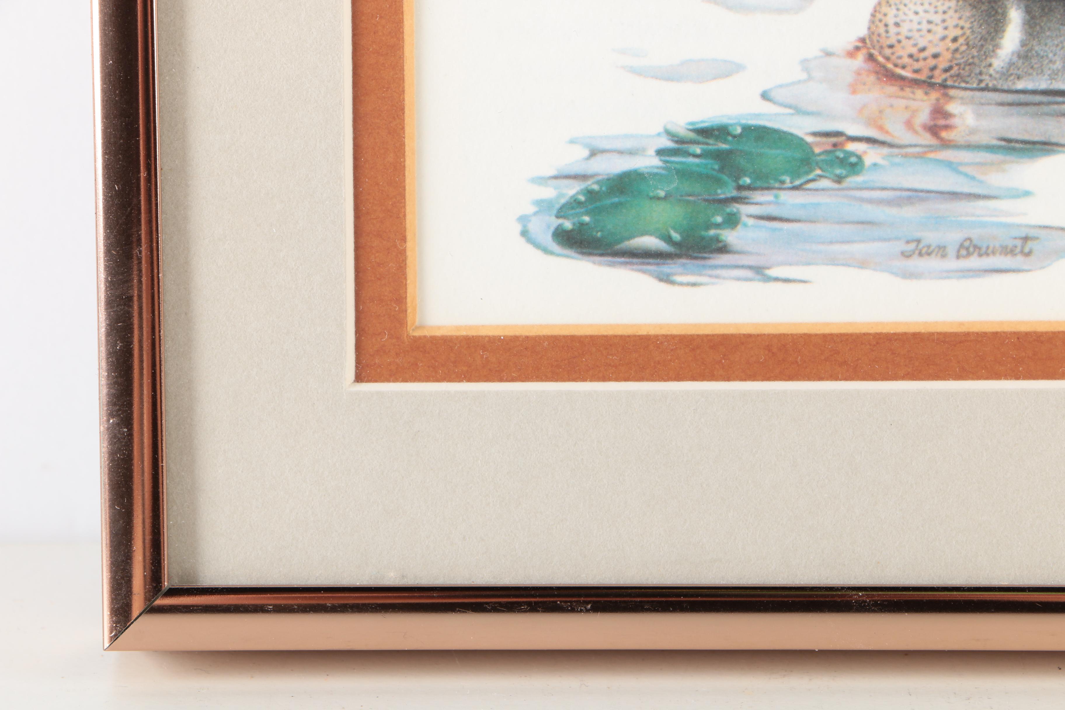 Reproduction Prints After Tan Brunet's Illustrations of Waterfowl