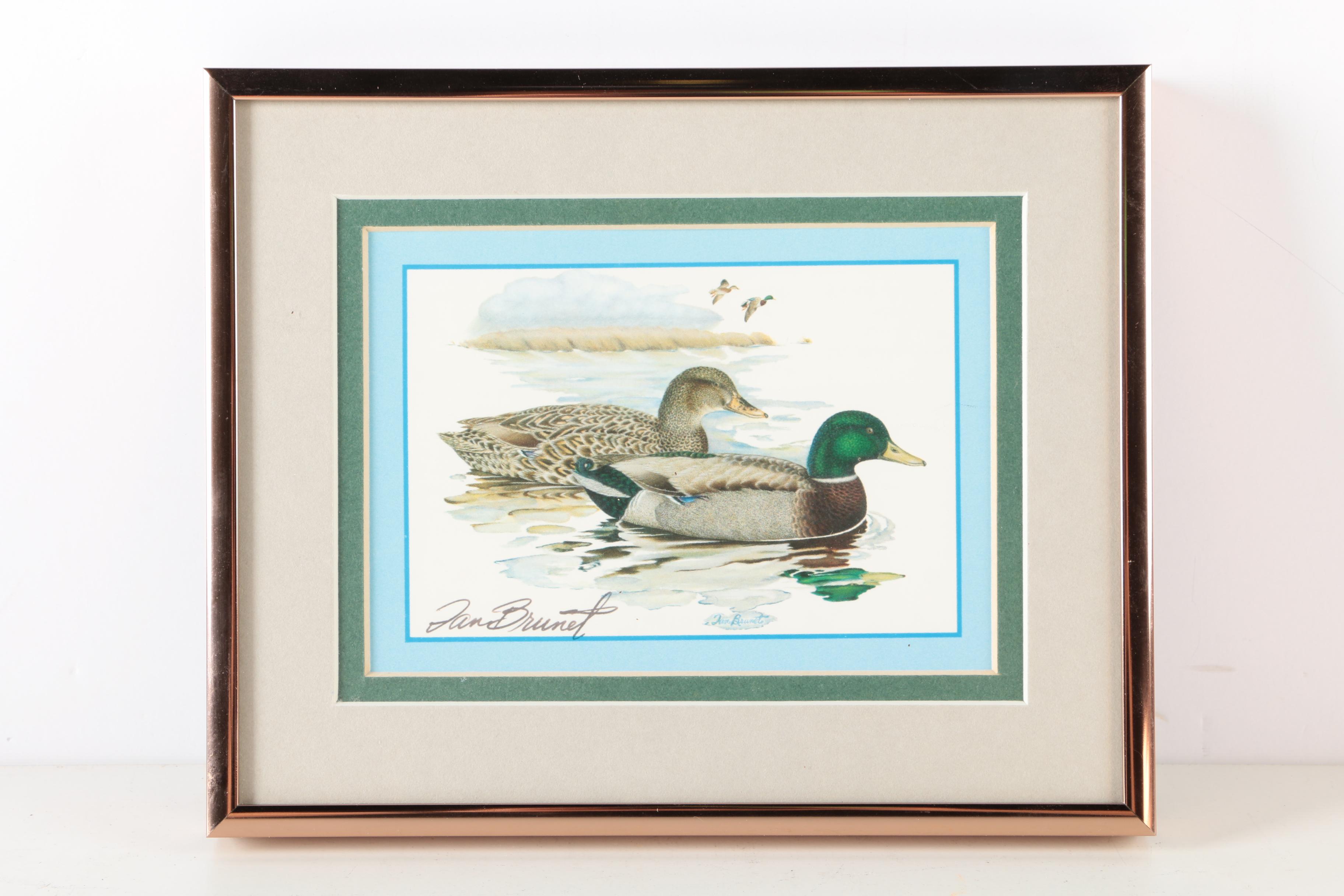 Reproduction Prints After Tan Brunet's Illustrations of Waterfowl