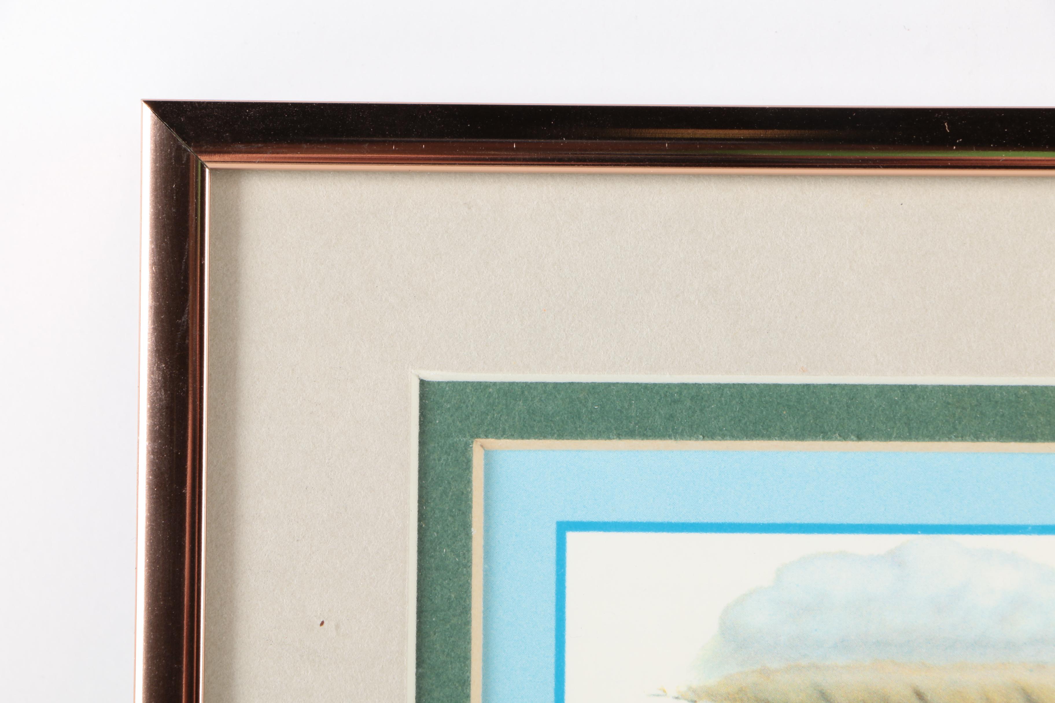 Reproduction Prints After Tan Brunet's Illustrations of Waterfowl