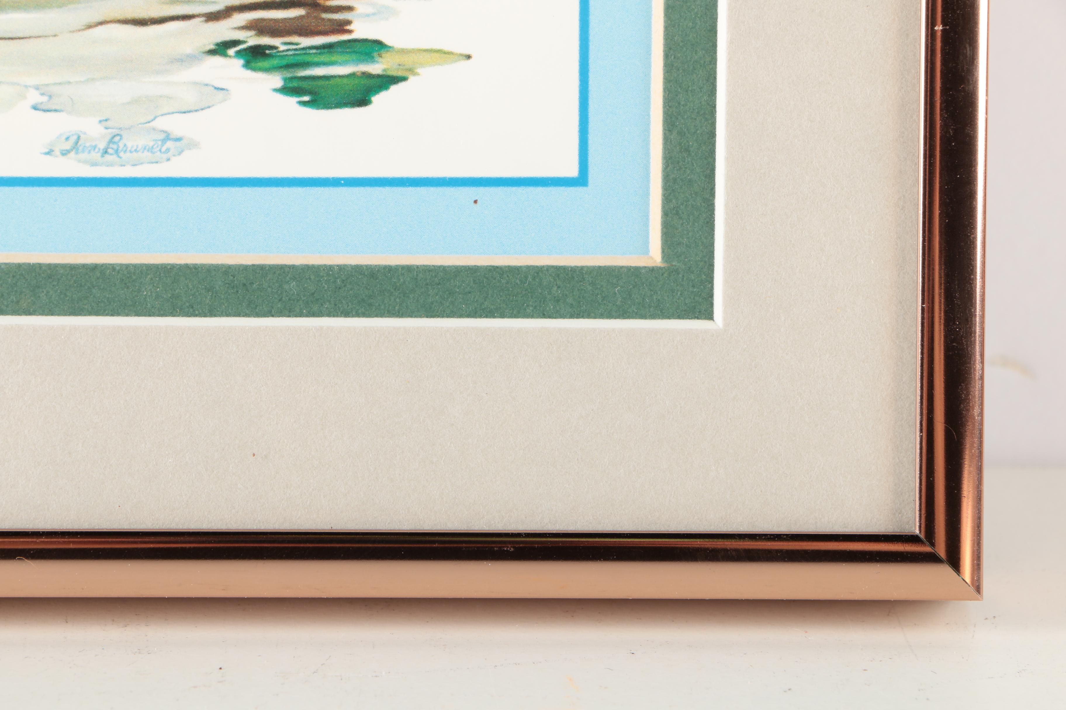 Reproduction Prints After Tan Brunet's Illustrations of Waterfowl