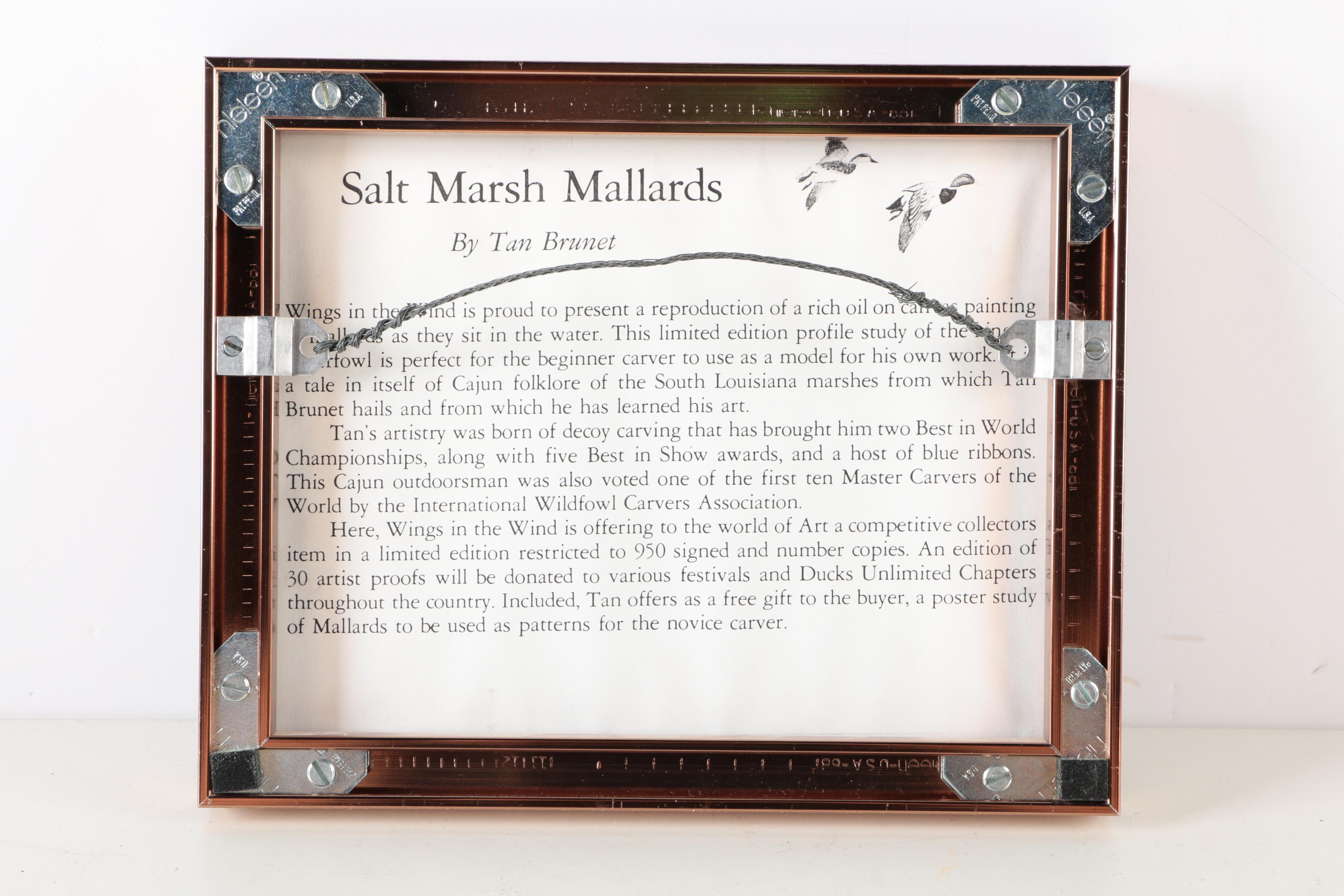 Reproduction Prints After Tan Brunet's Illustrations of Waterfowl