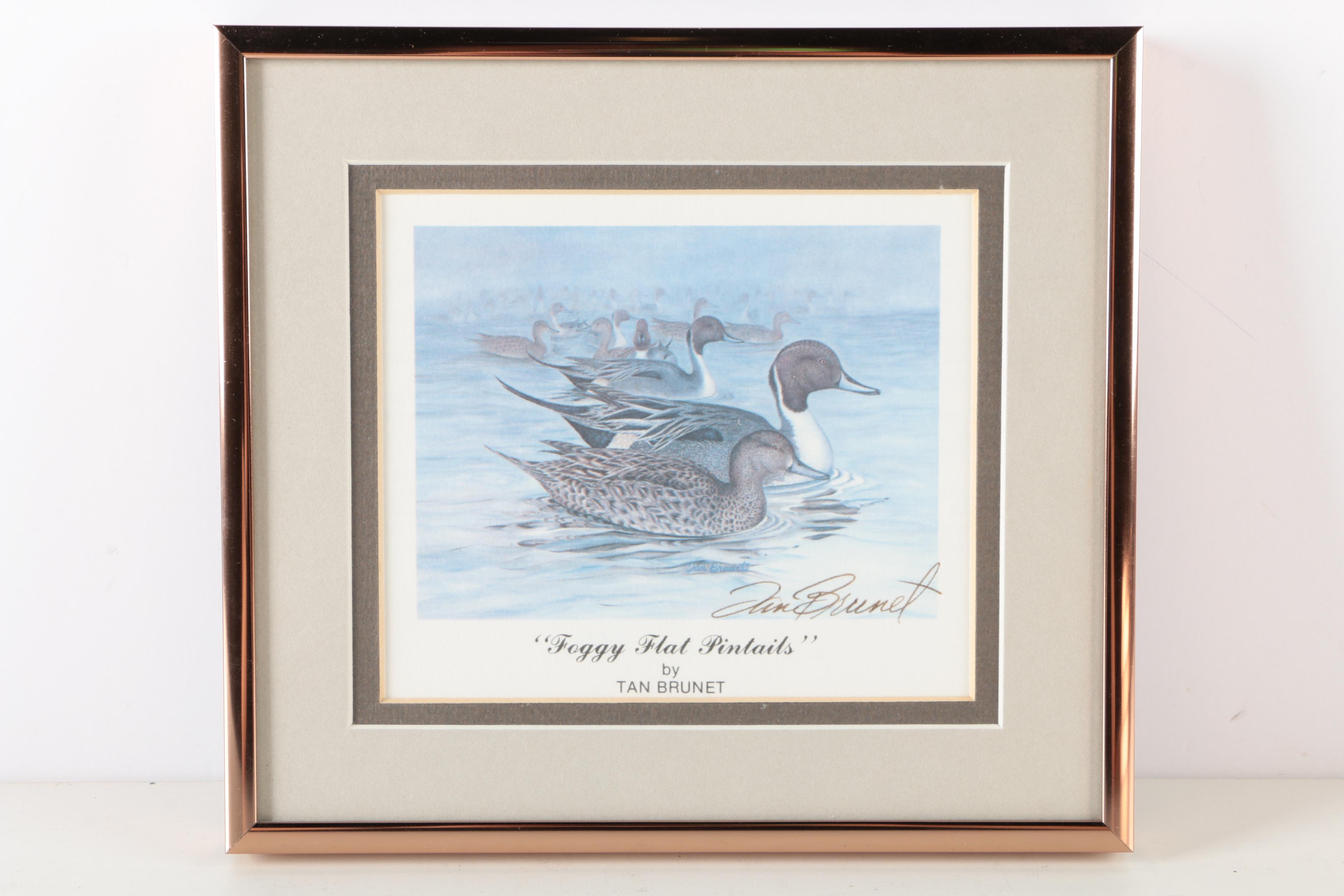 Reproduction Prints After Tan Brunet's Illustrations of Waterfowl
