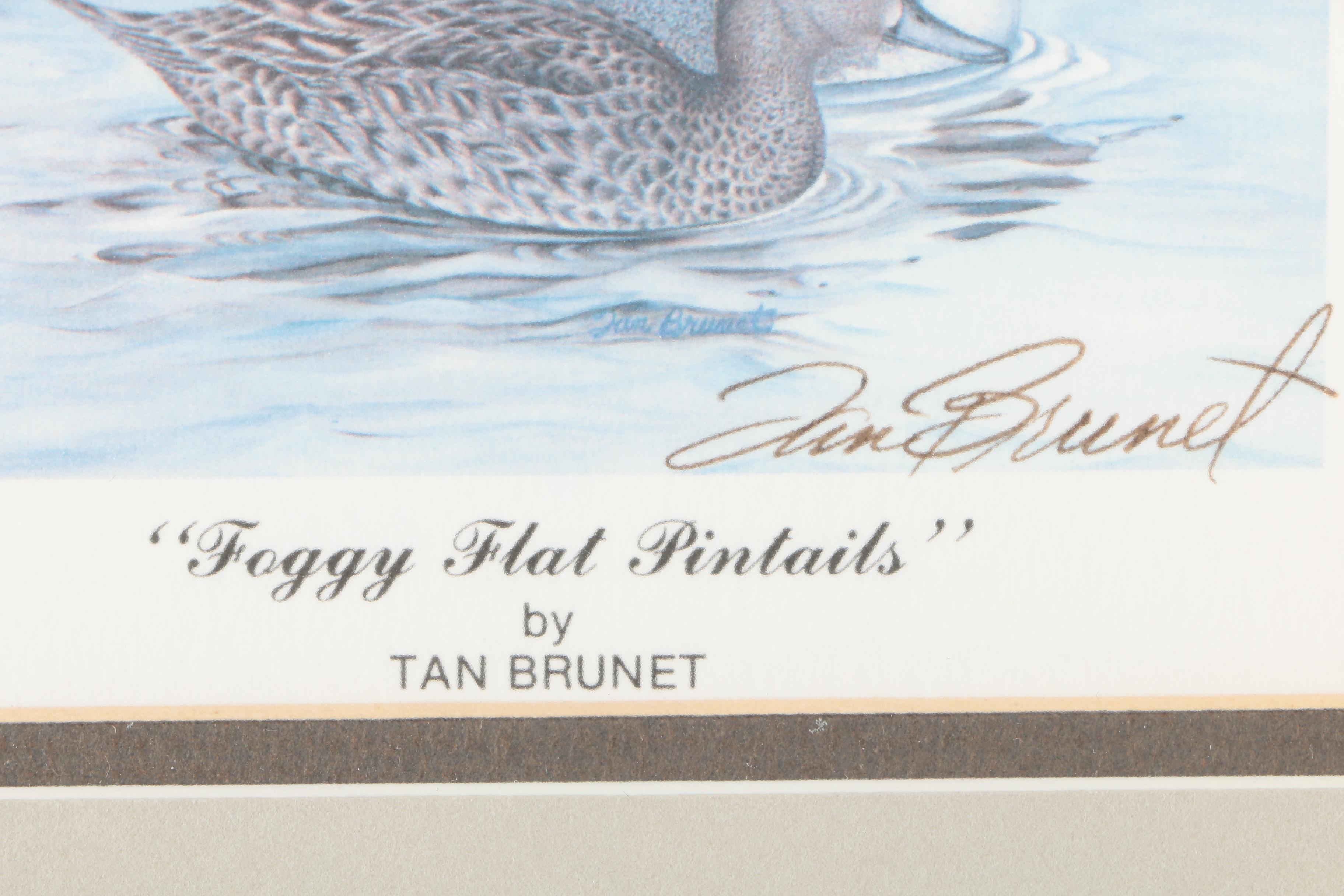 Reproduction Prints After Tan Brunet's Illustrations of Waterfowl