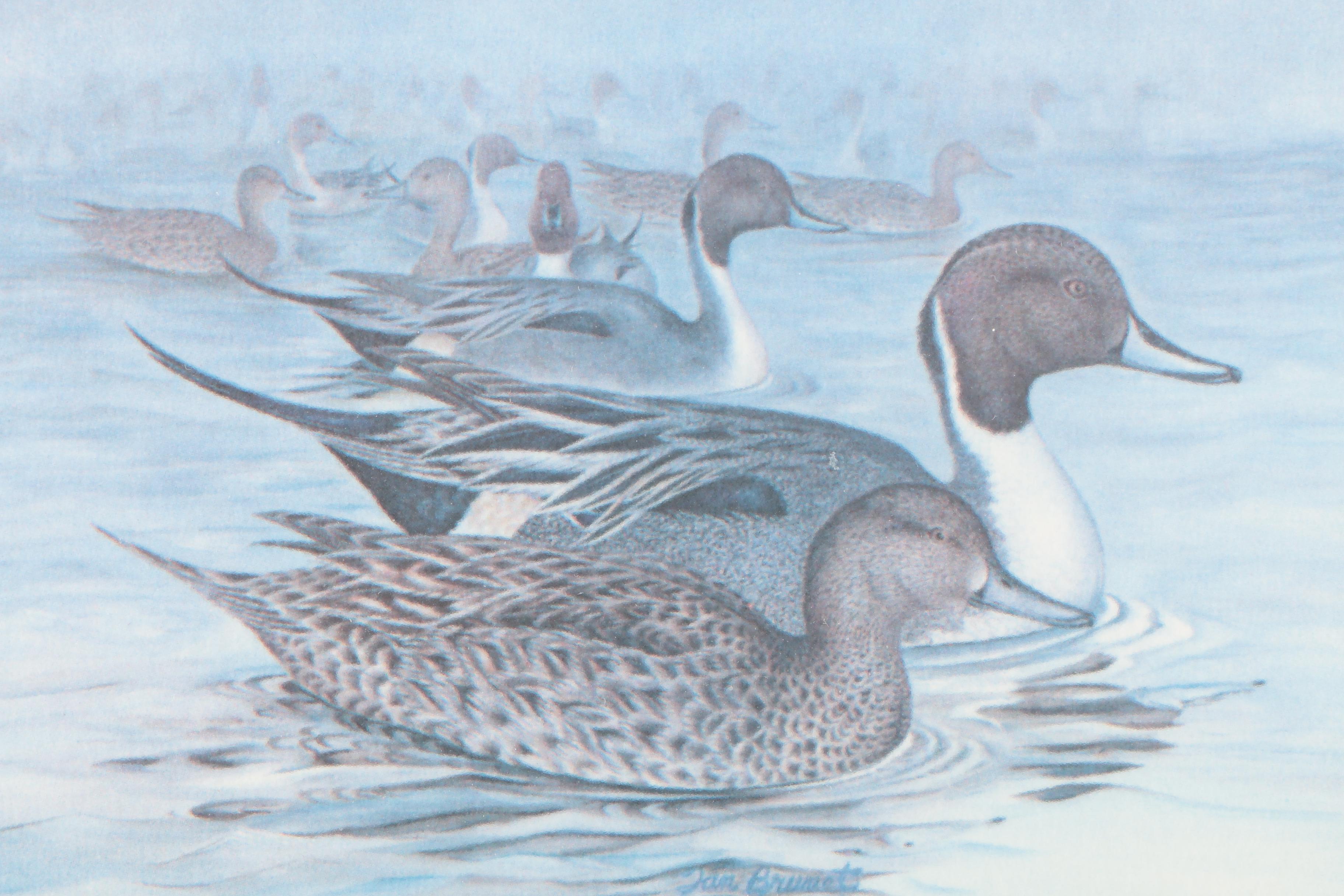 Reproduction Prints After Tan Brunet's Illustrations of Waterfowl