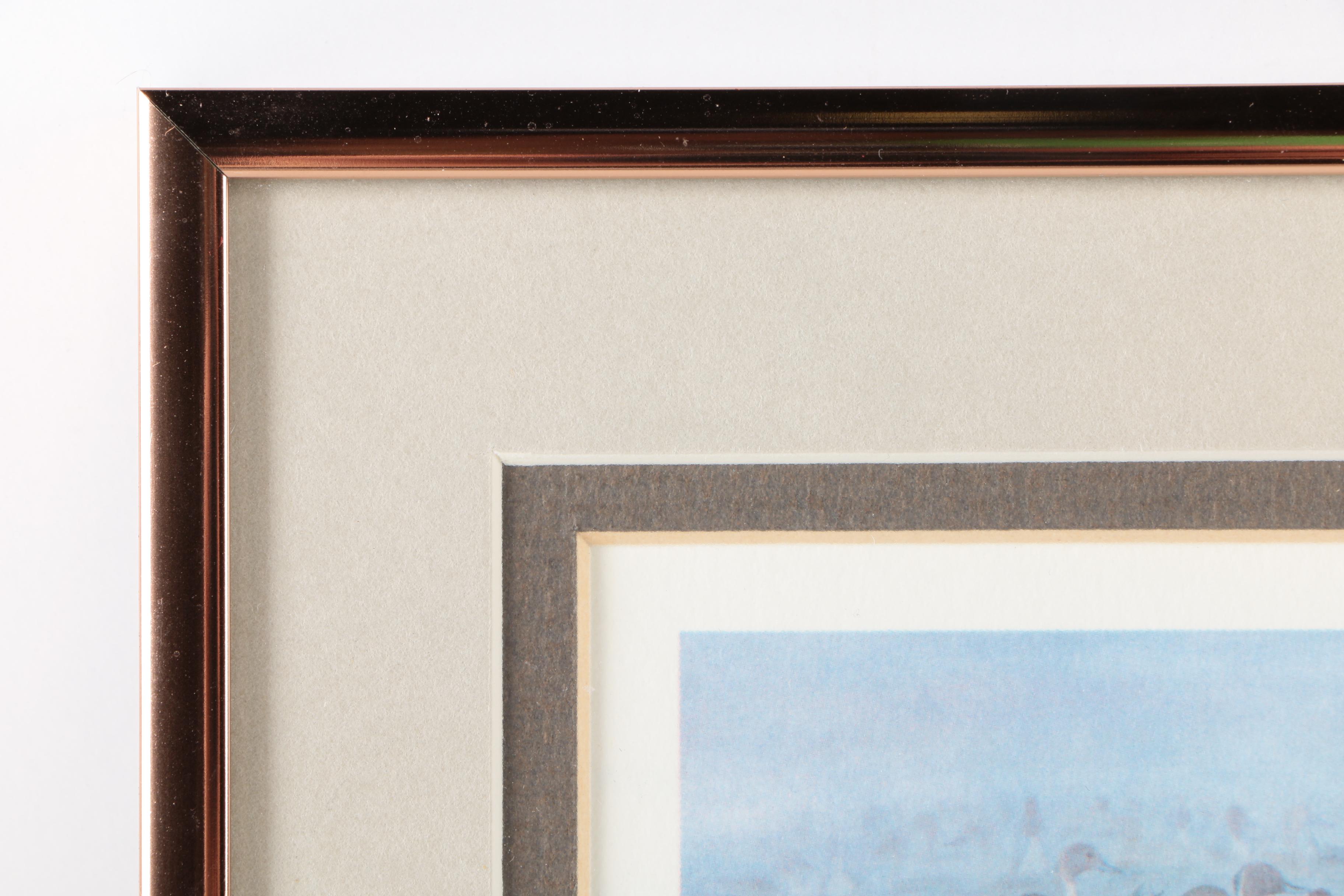 Reproduction Prints After Tan Brunet's Illustrations of Waterfowl