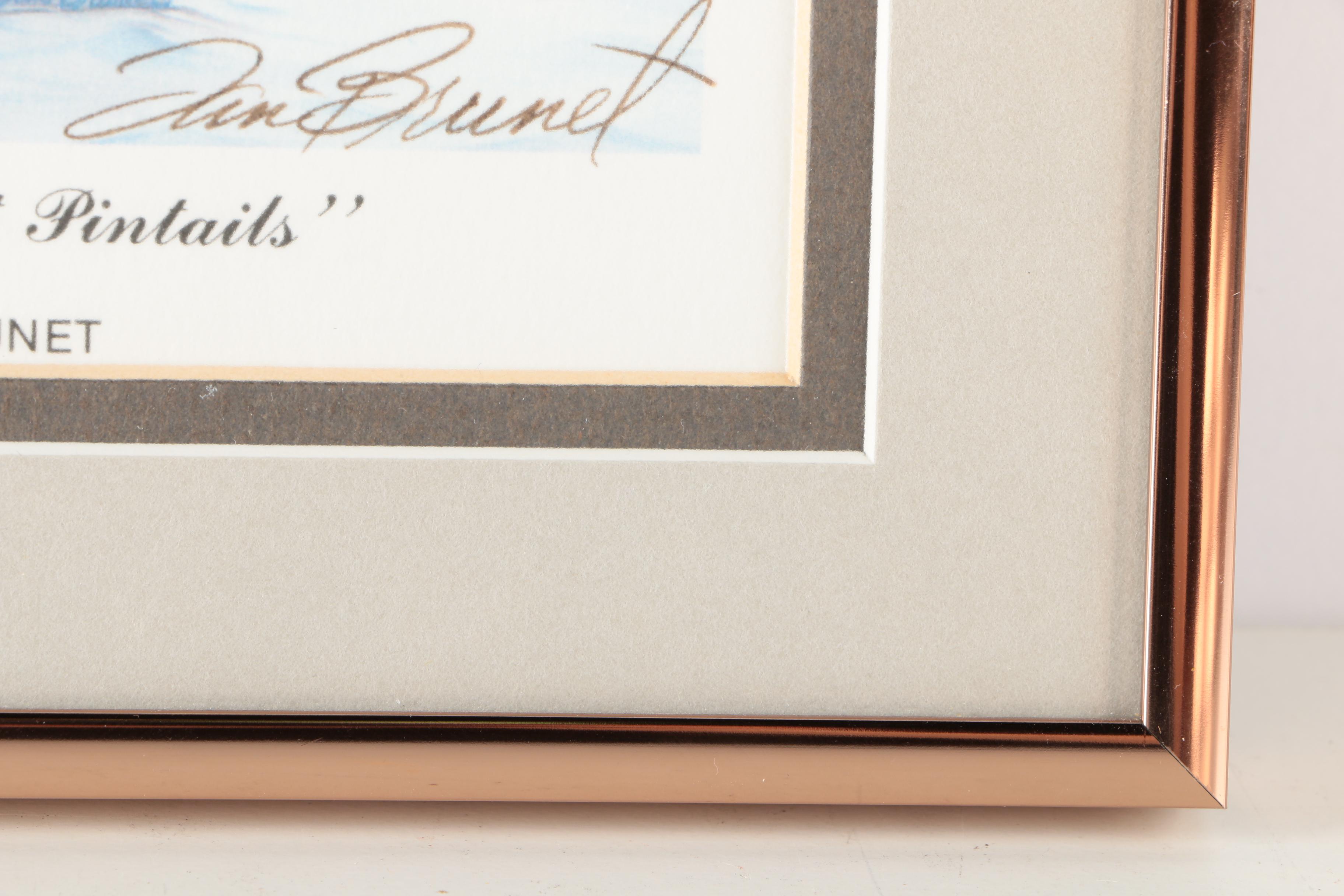 Reproduction Prints After Tan Brunet's Illustrations of Waterfowl