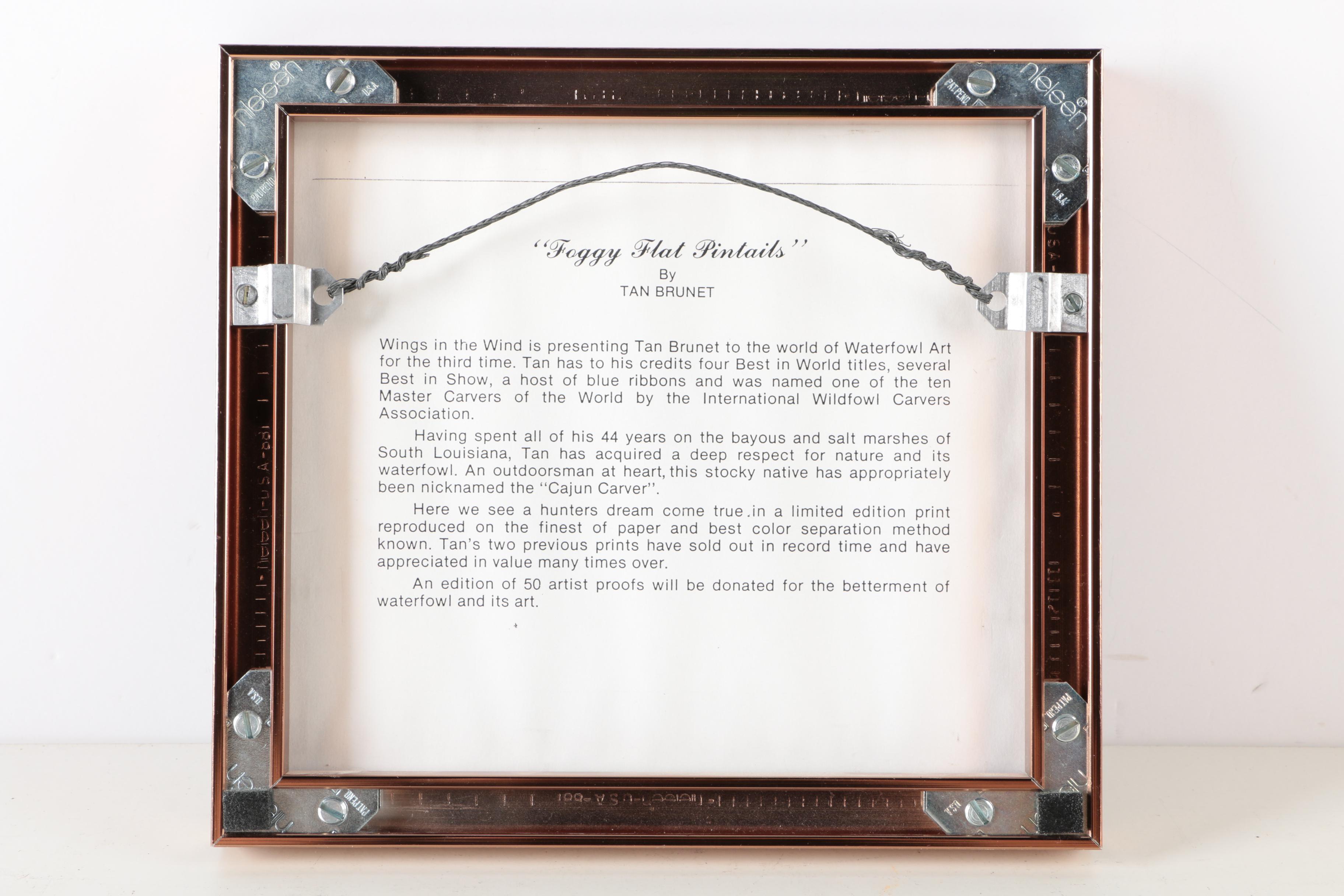 Reproduction Prints After Tan Brunet's Illustrations of Waterfowl