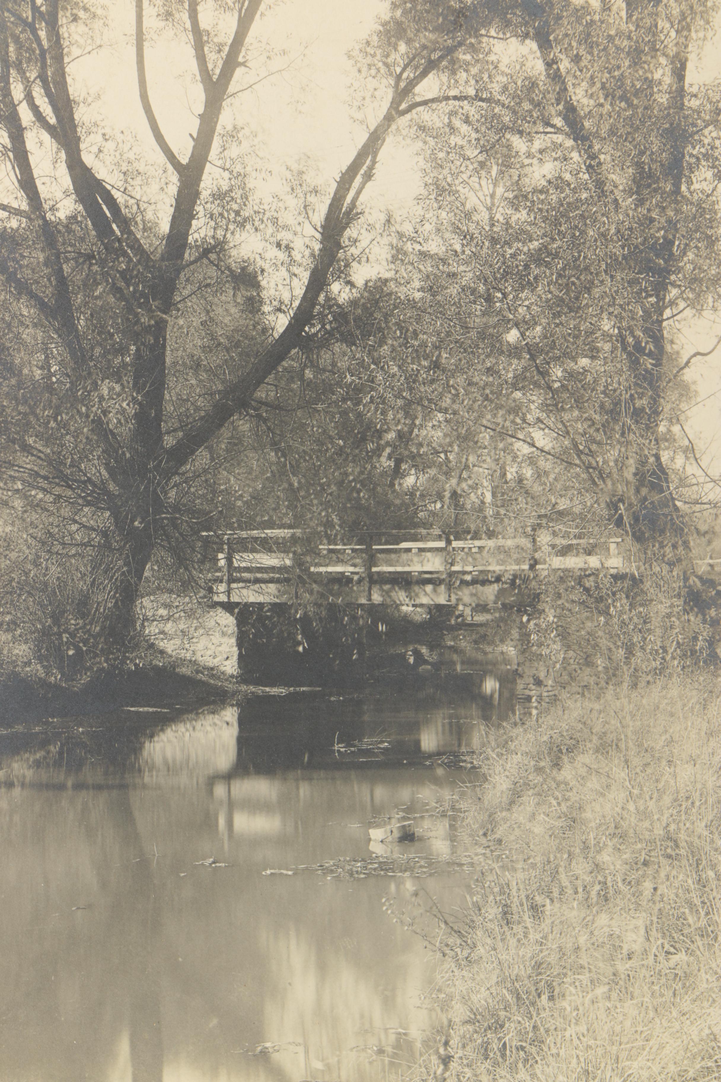 Silver Gelatin Process Photographs and Antique Crayon Portrait