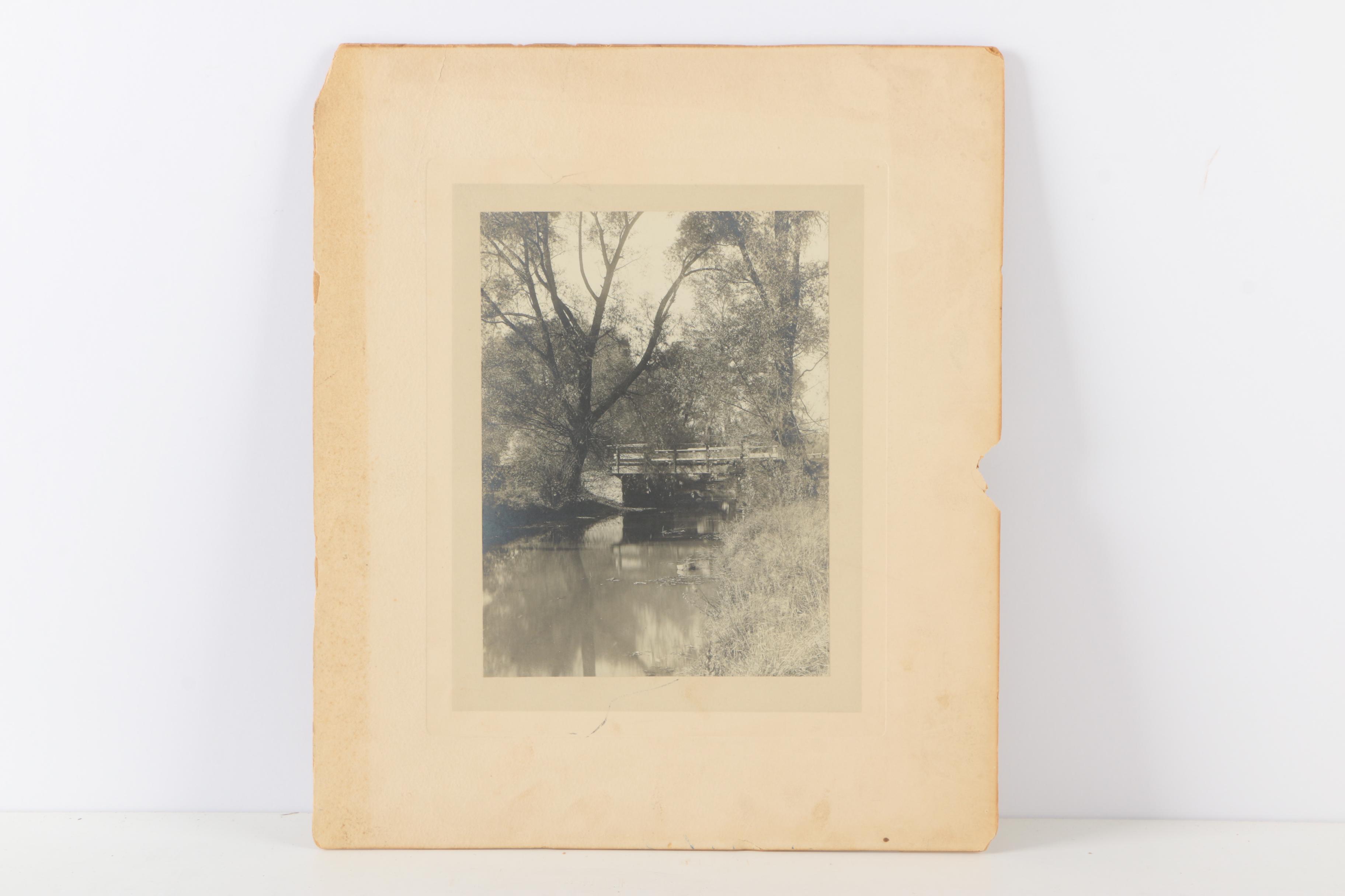 Silver Gelatin Process Photographs and Antique Crayon Portrait