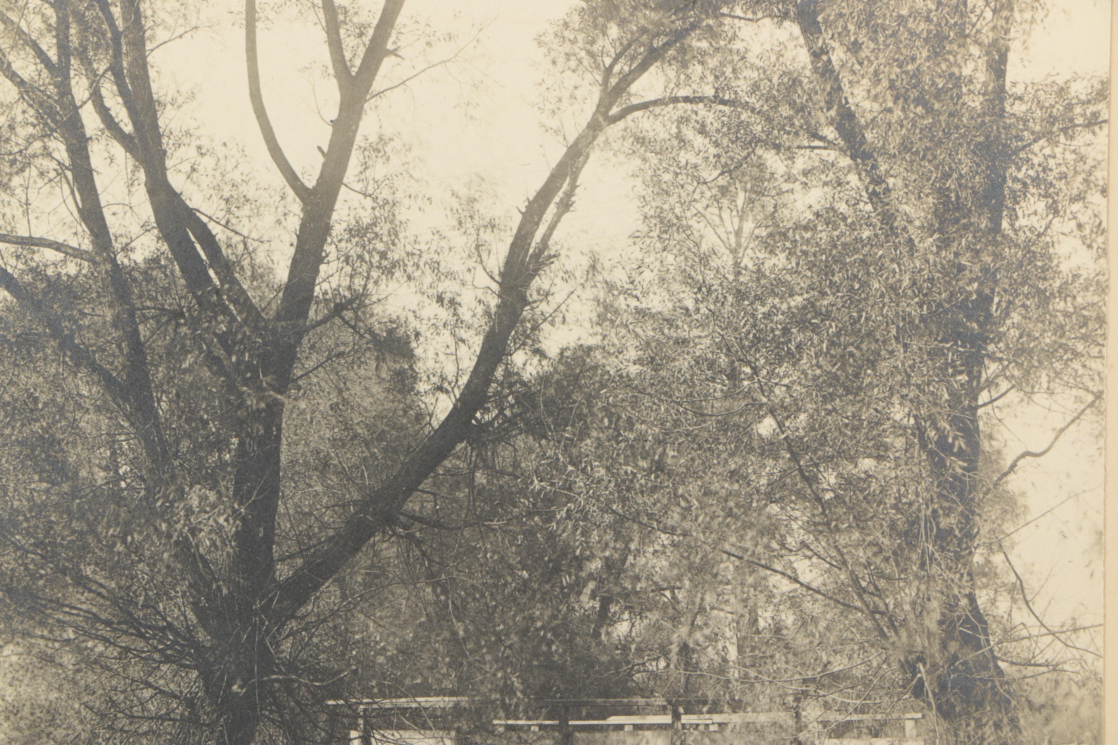 Silver Gelatin Process Photographs and Antique Crayon Portrait