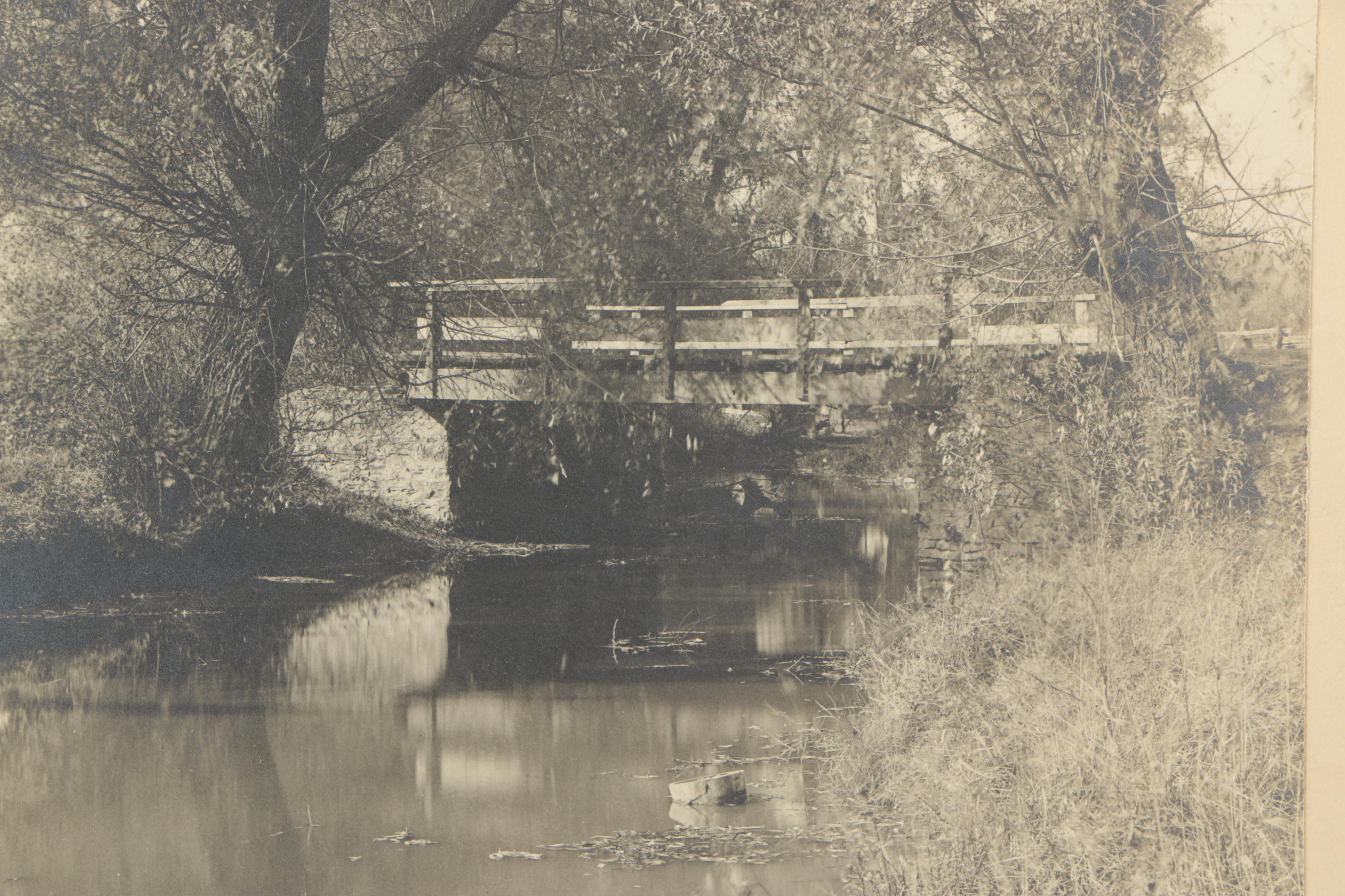 Silver Gelatin Process Photographs and Antique Crayon Portrait