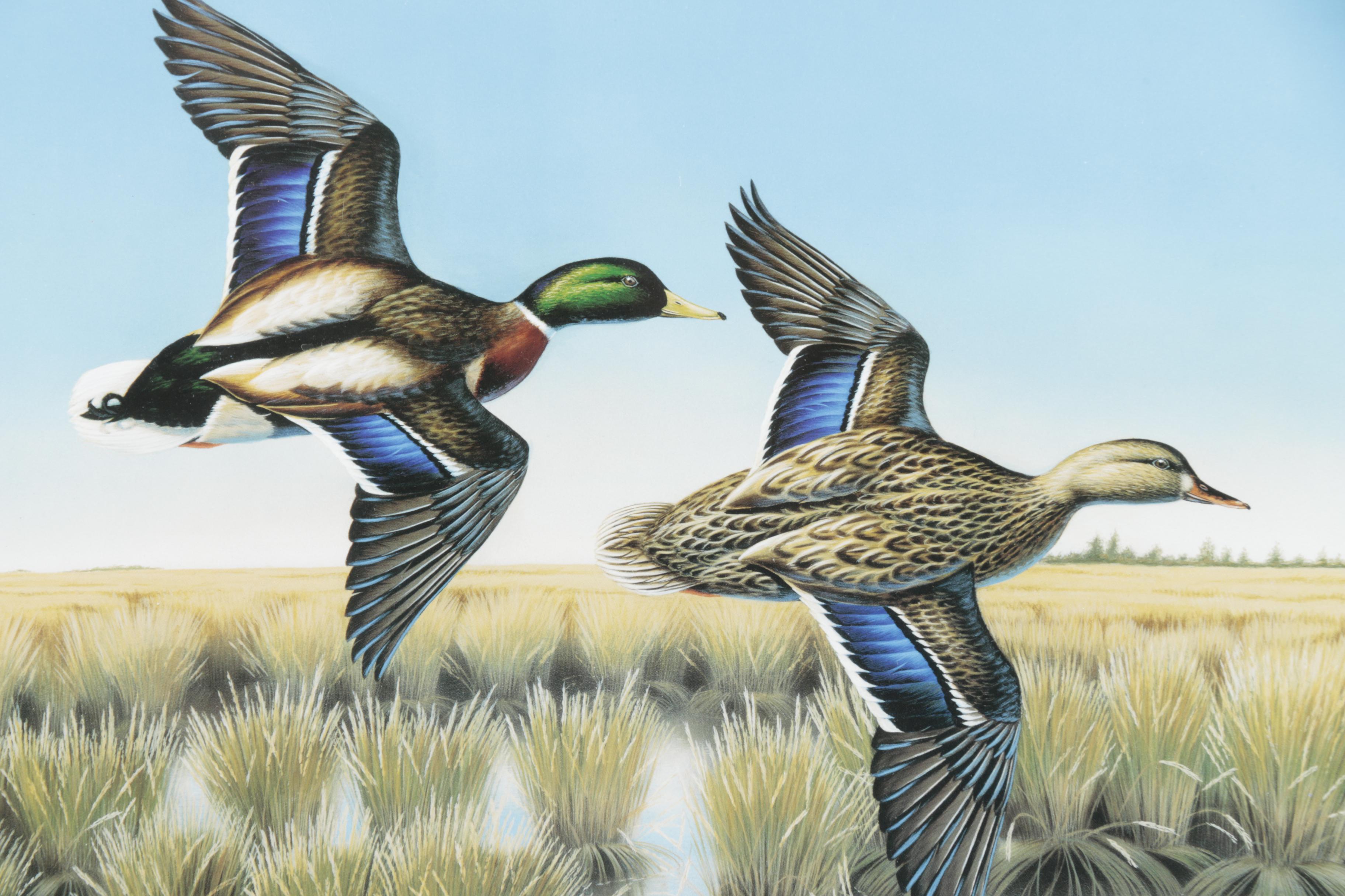 Jude Brunet Limited Edition Offset Lithograph "Mallards"