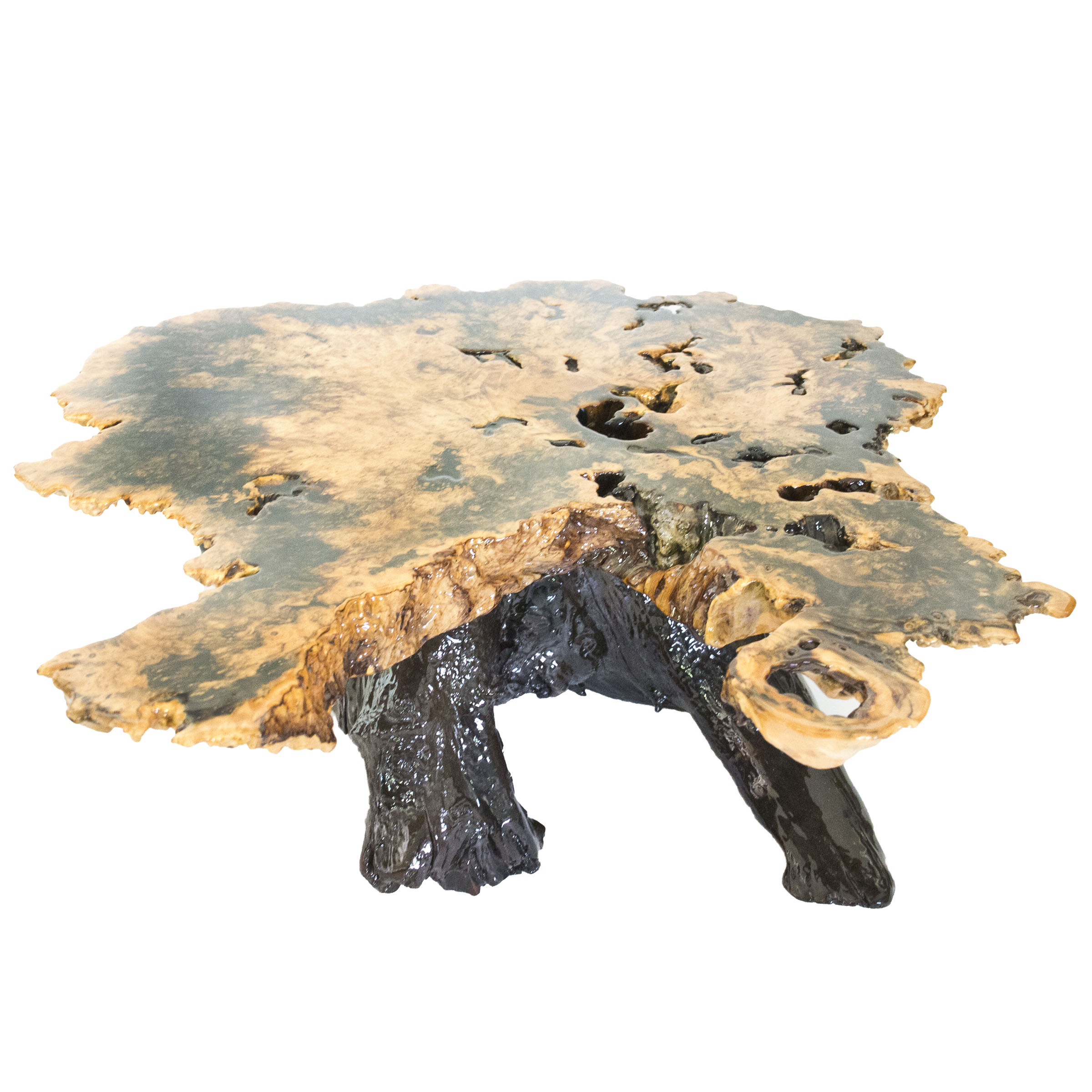 Epoxied Buckeye Burl Coffee Table by Wheeler