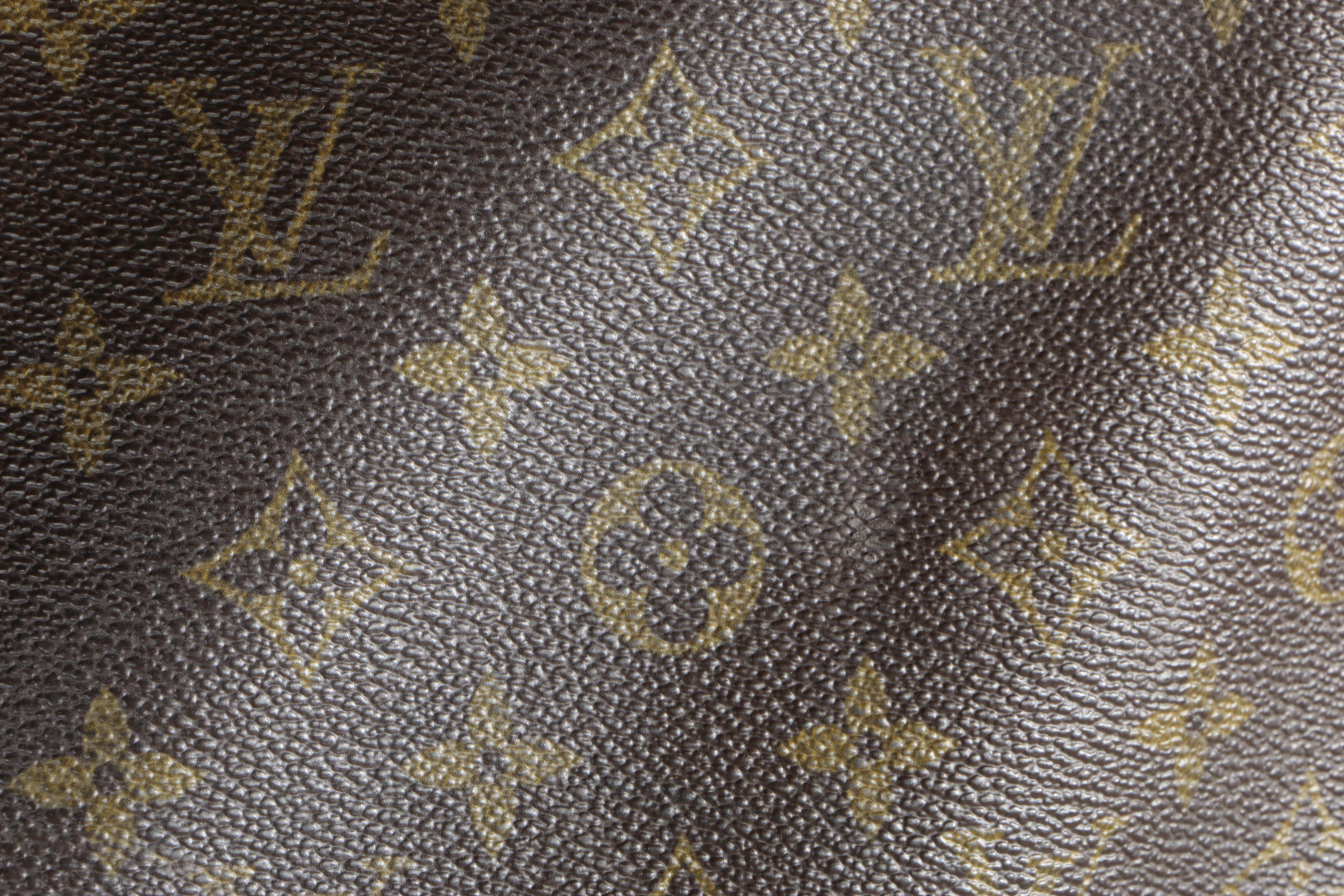 Louis Vuitton French Company Garment Bag