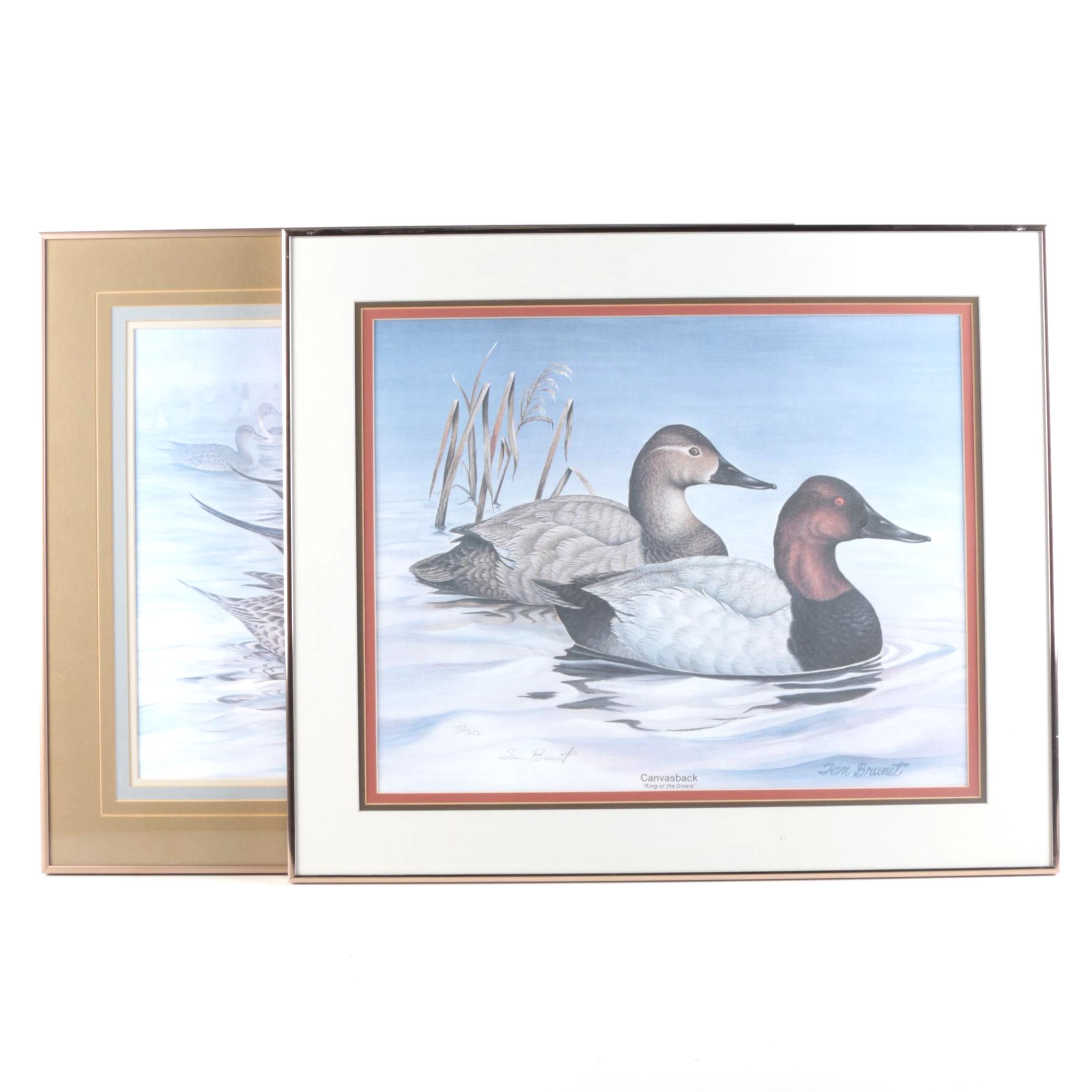 Tan Brunet Limited Edition Offset Lithographs "Foggy Flat Pintails" and "Canvasback: King of the Divers"