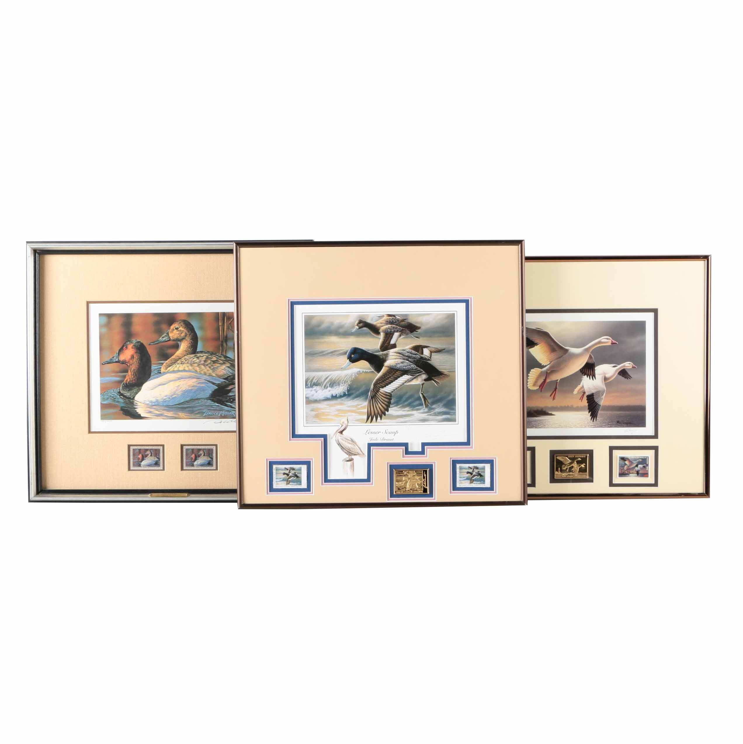Limited Edition Offset Lithograph Prints of Federal Duck Stamp Prints