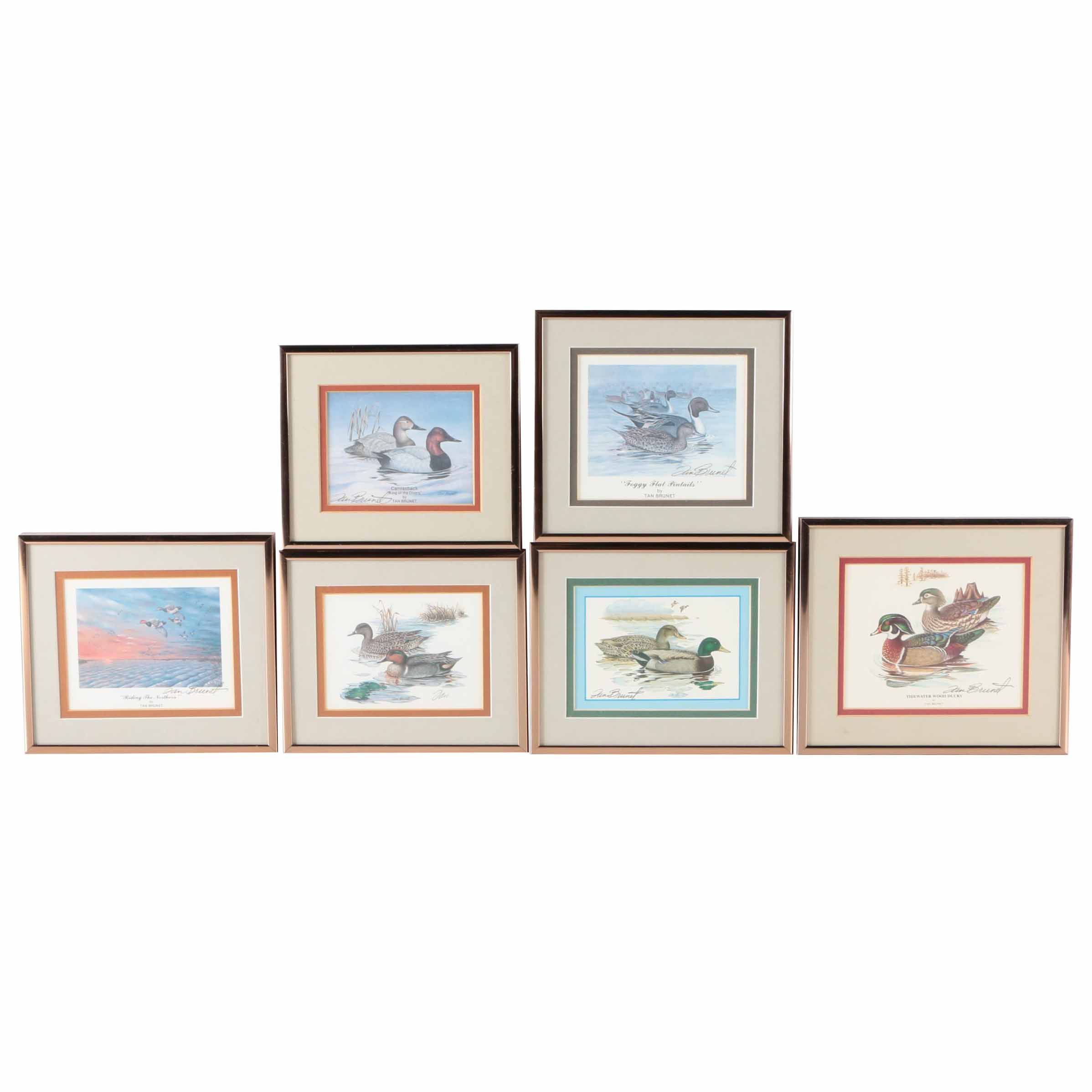 Reproduction Prints After Tan Brunet's Illustrations of Waterfowl