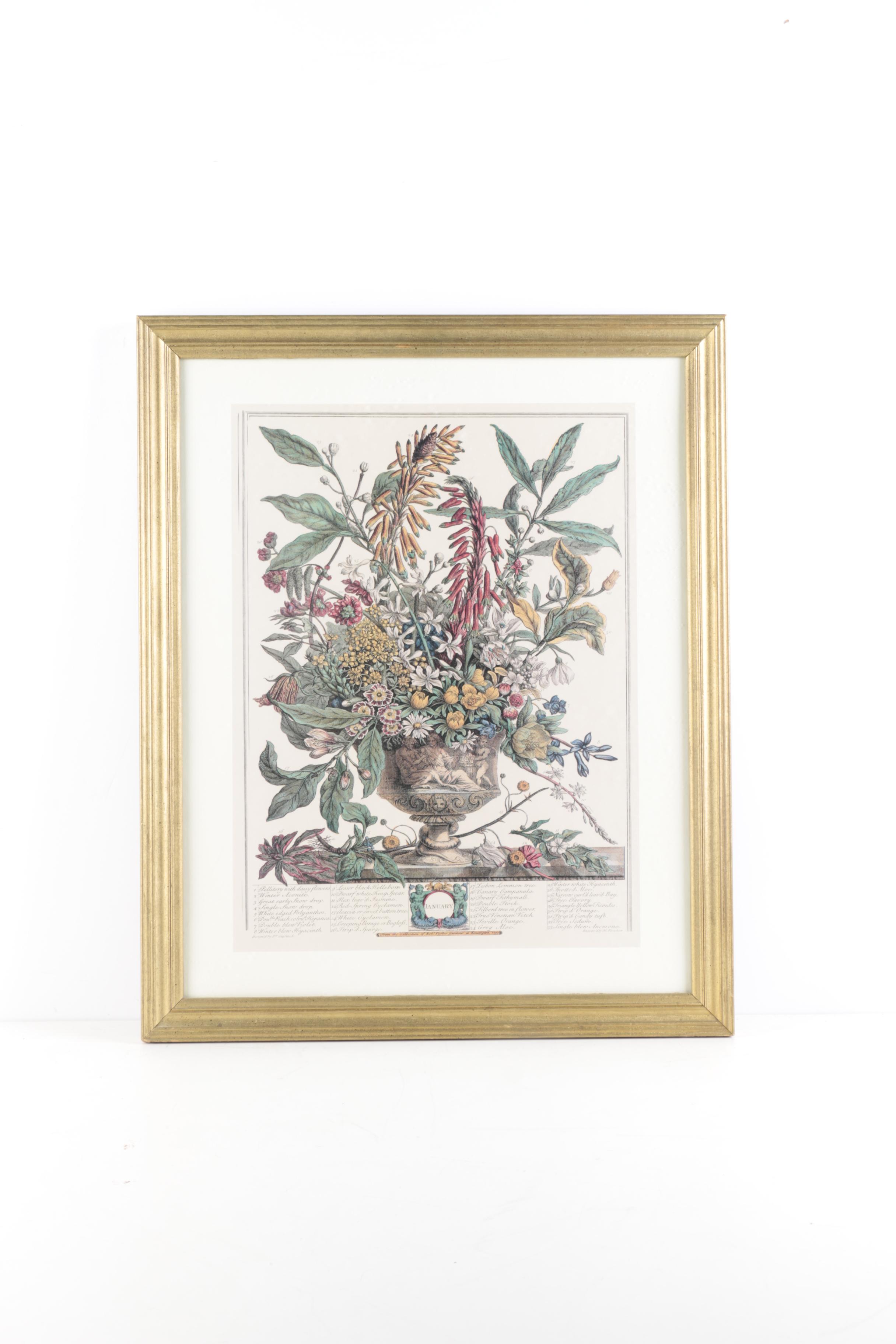 Offset Lithographs on Paper After Robert Furber "Twelve Months of Flowers"
