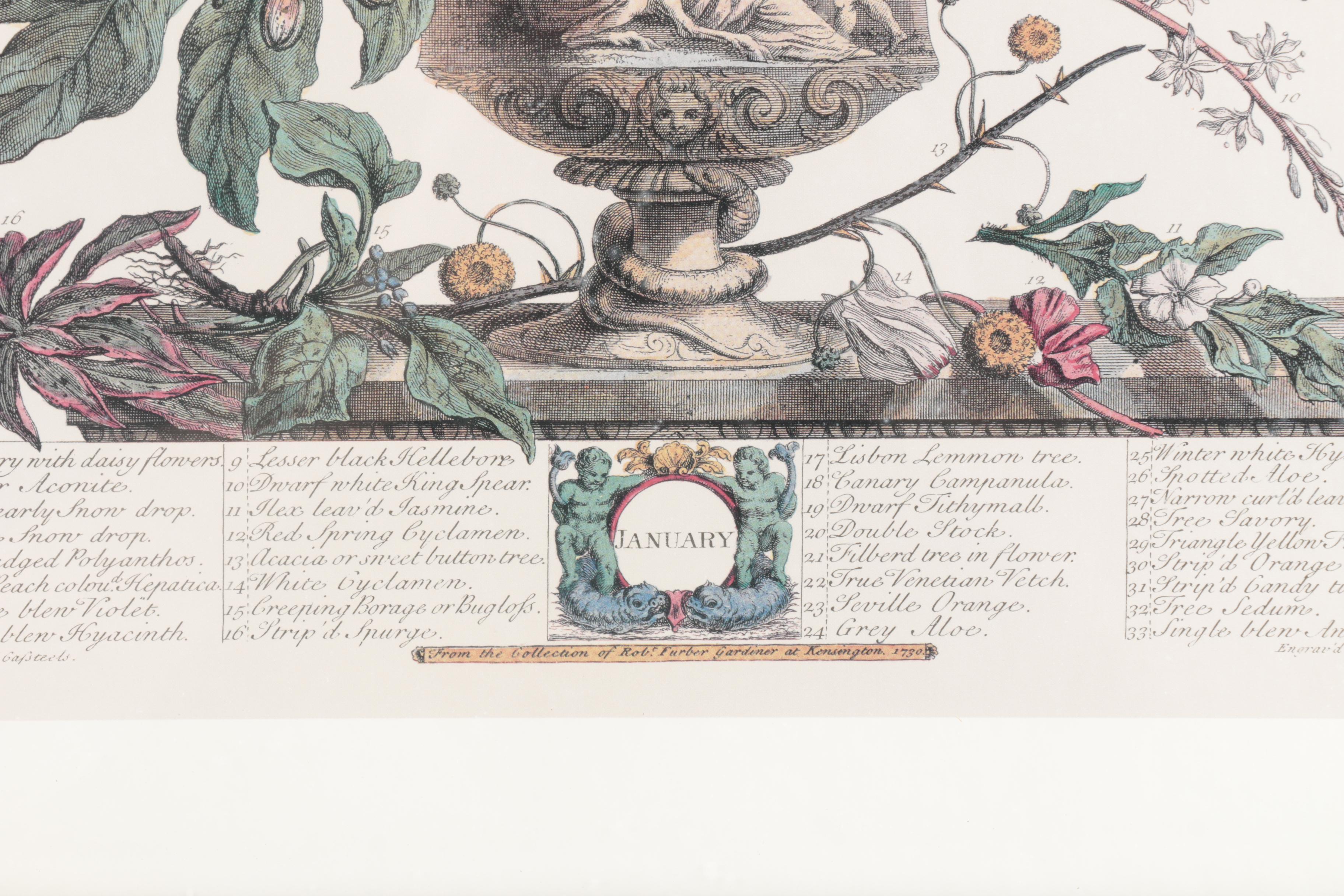 Offset Lithographs on Paper After Robert Furber "Twelve Months of Flowers"