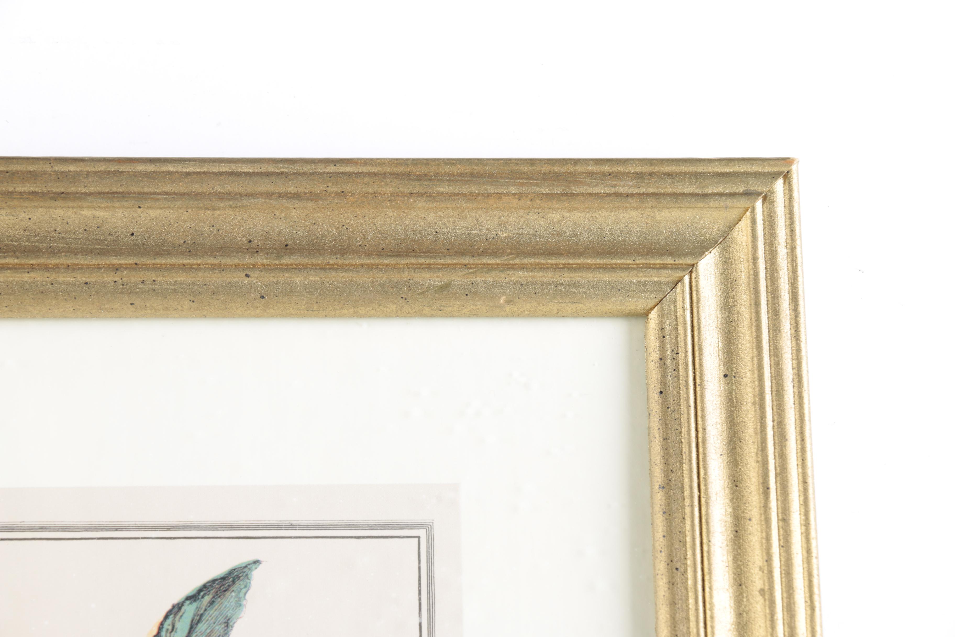 Offset Lithographs on Paper After Robert Furber "Twelve Months of Flowers"